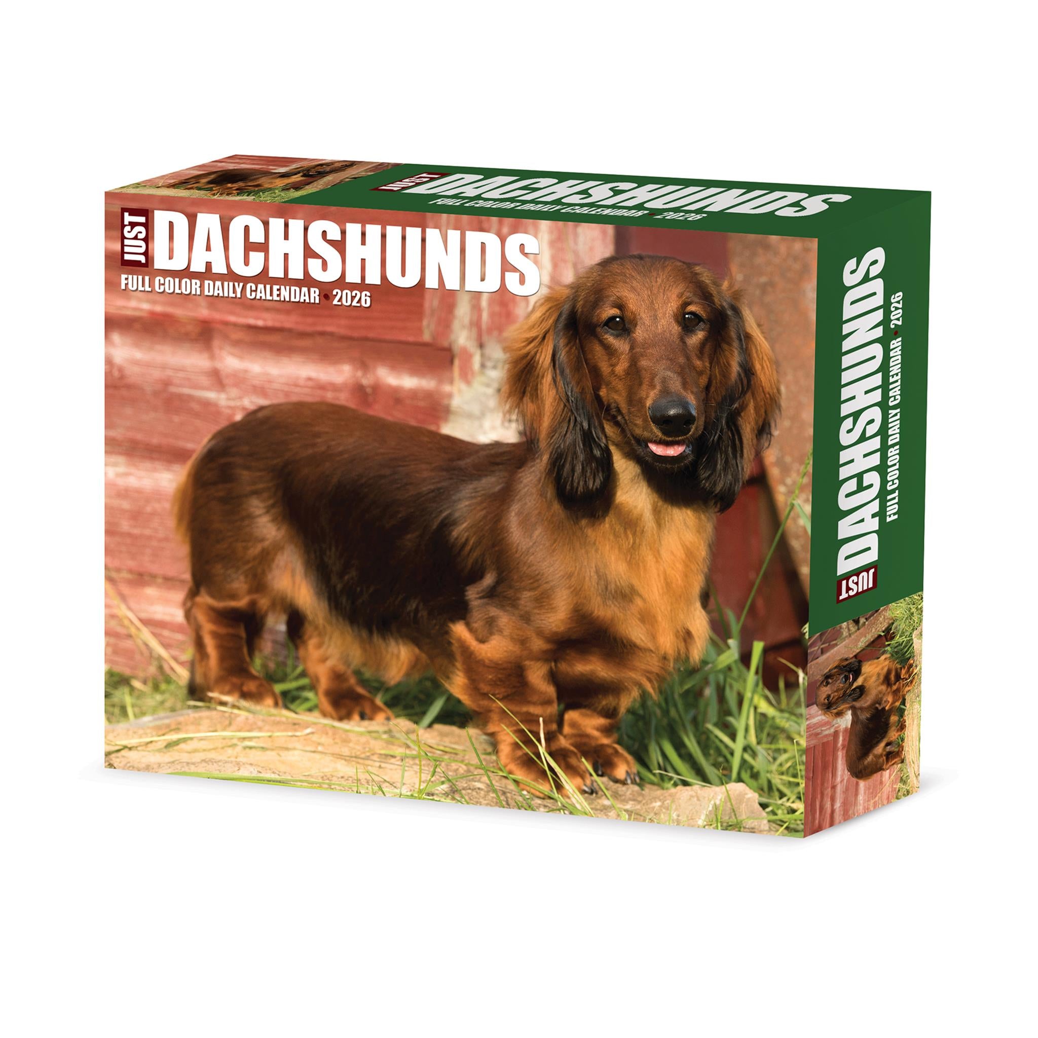 Just Dachshunds 2026 Box Calendar