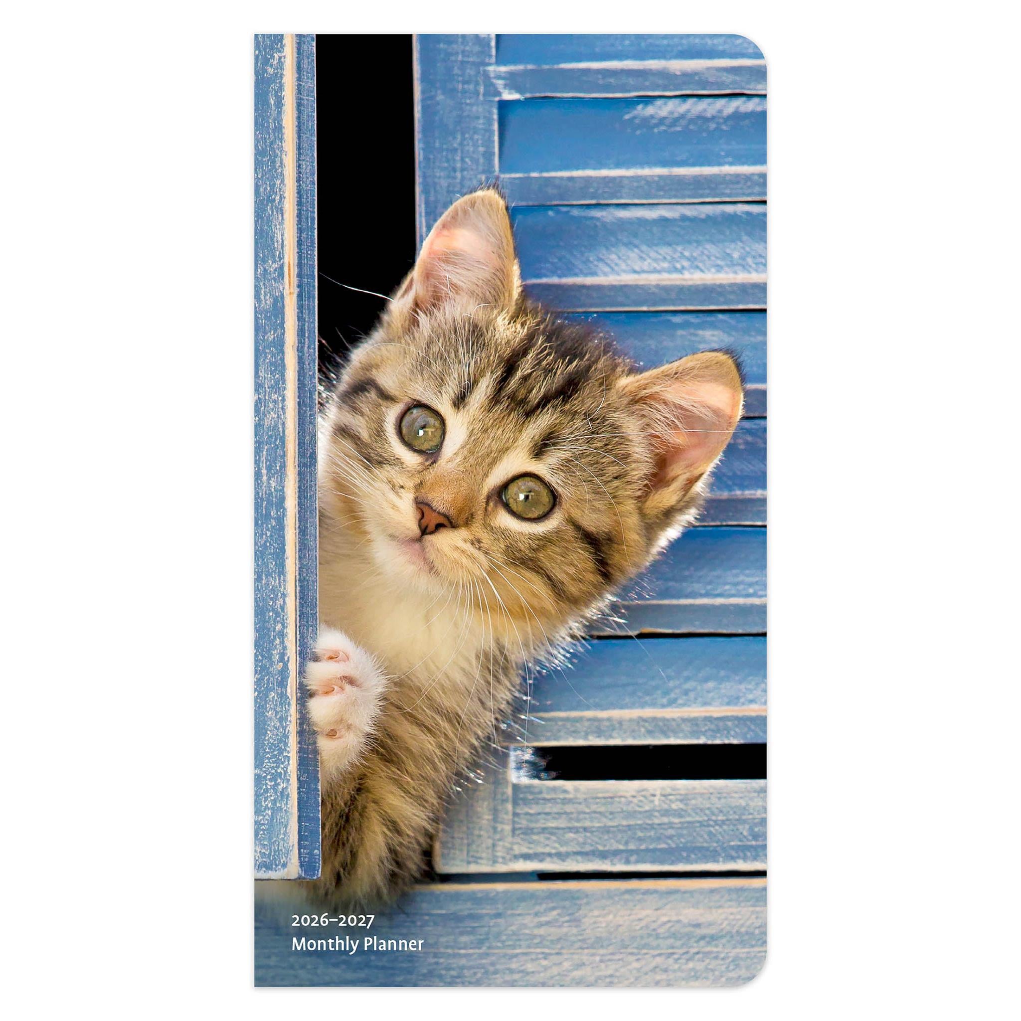 Cover of the Kitten Cuddles 2026 2 Yr Pocket Planner Calendar featuring a cute kitten peeking out from a blue wooden fence.