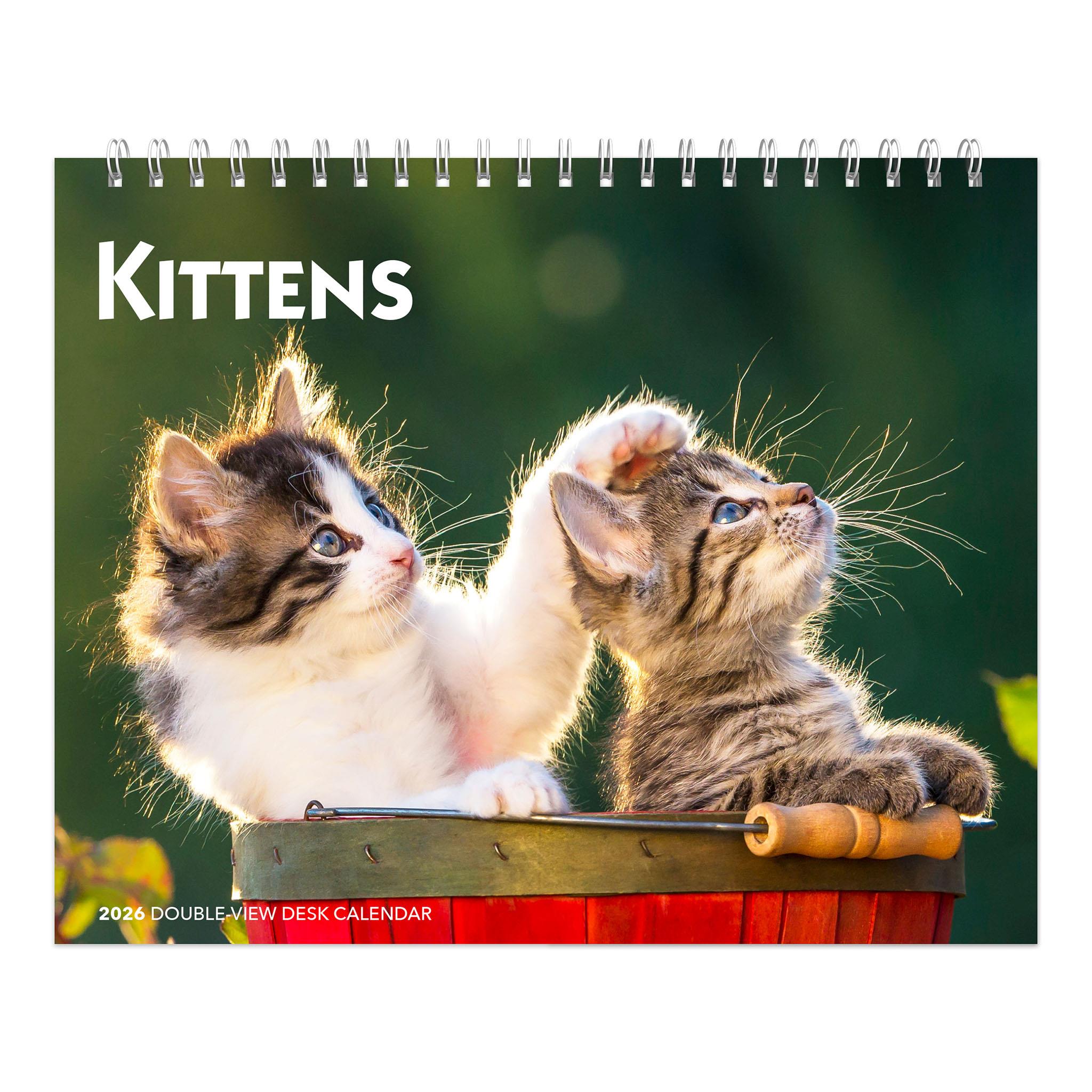 A calendar featuring two kittens playing on a red object with a blurred background.