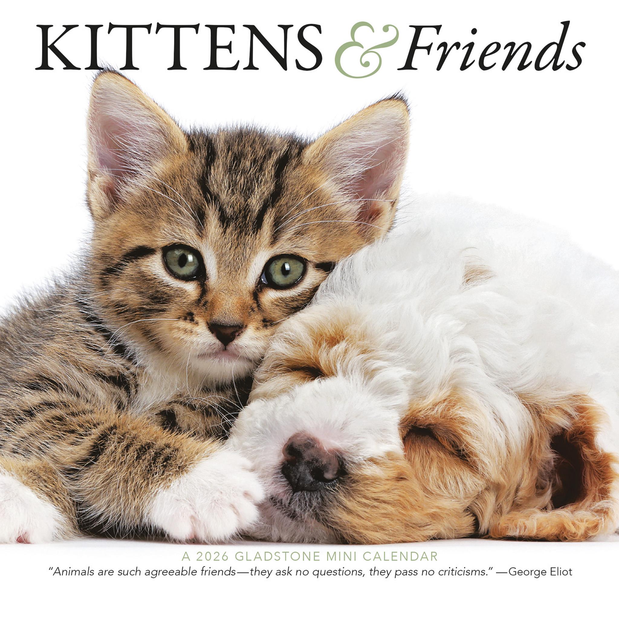 Kittens And Friends Mini 2026 Calendar