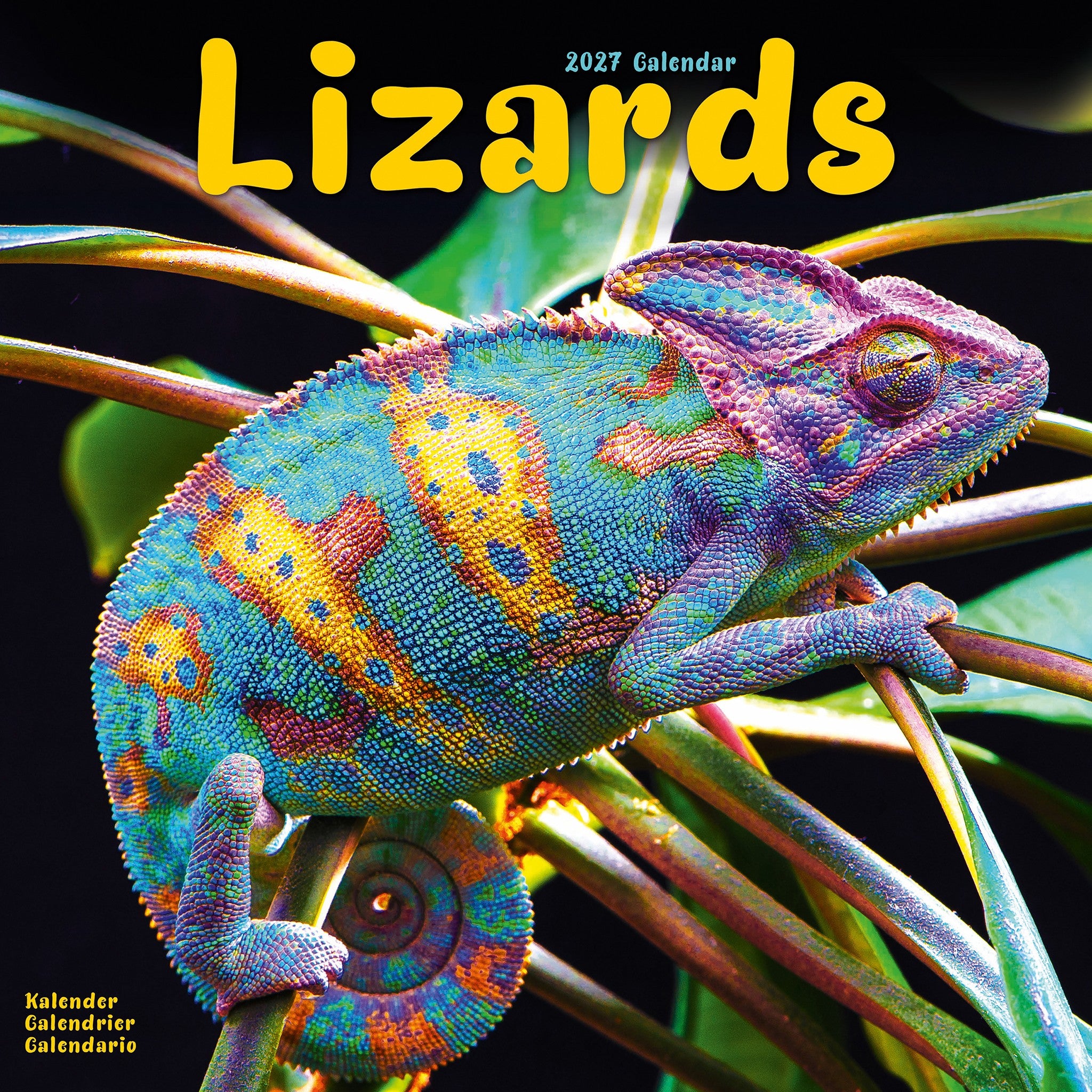 Lizards 2027 Wall Calendar
