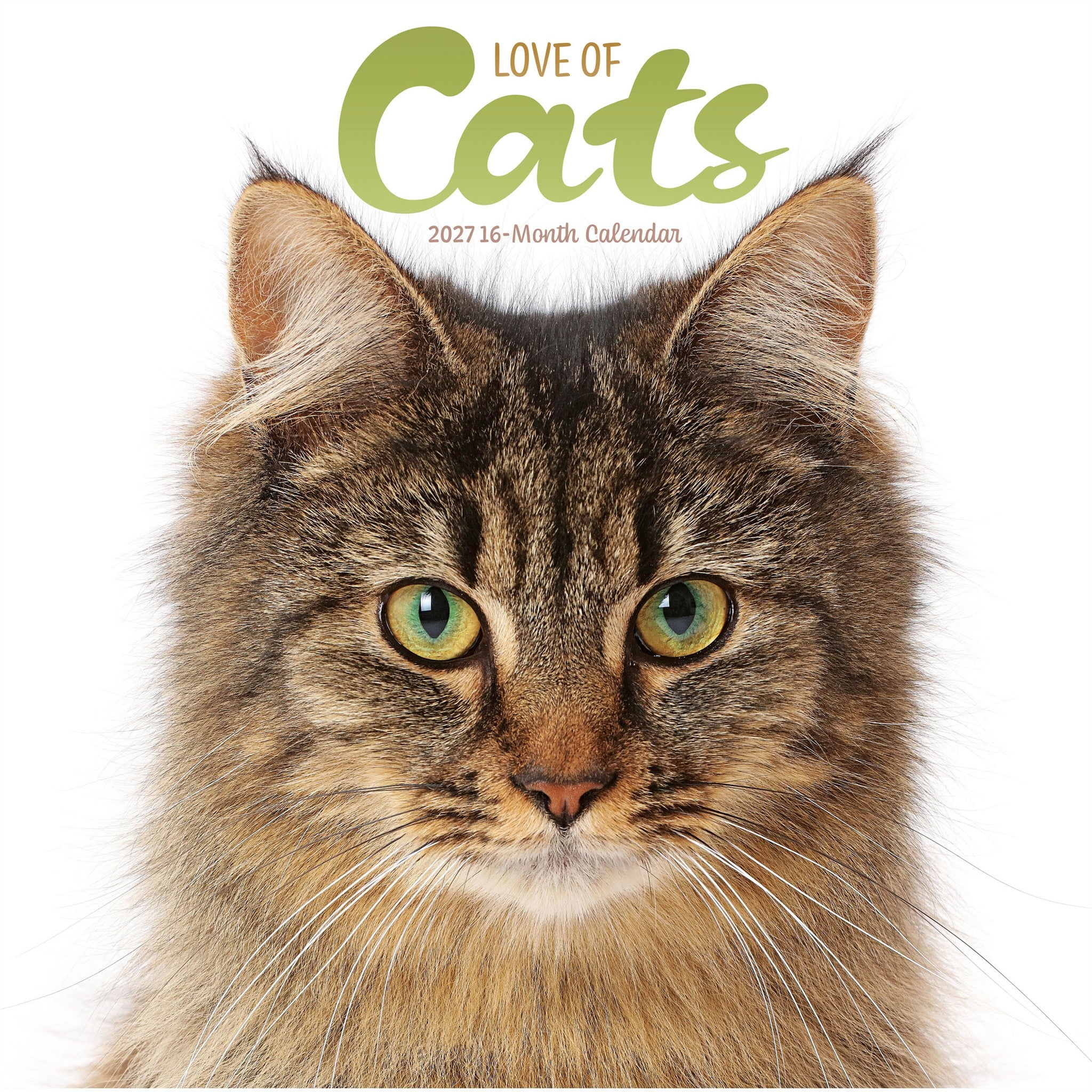 Love of Cats 2027 Wall Calendar