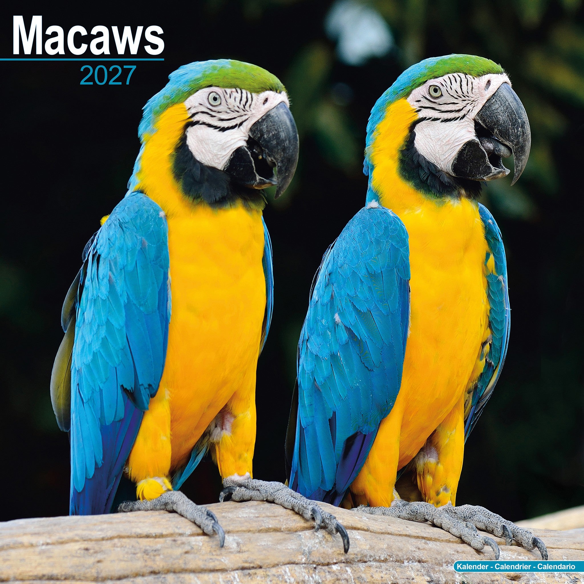 Macaws 2027 Wall Calendar
