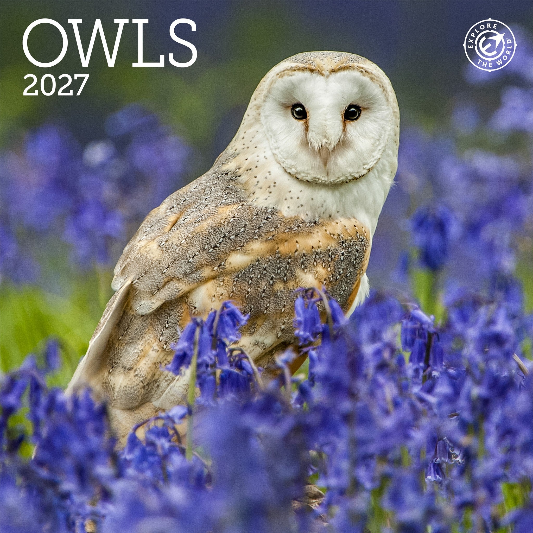 Owls 2027 Mini Calendar