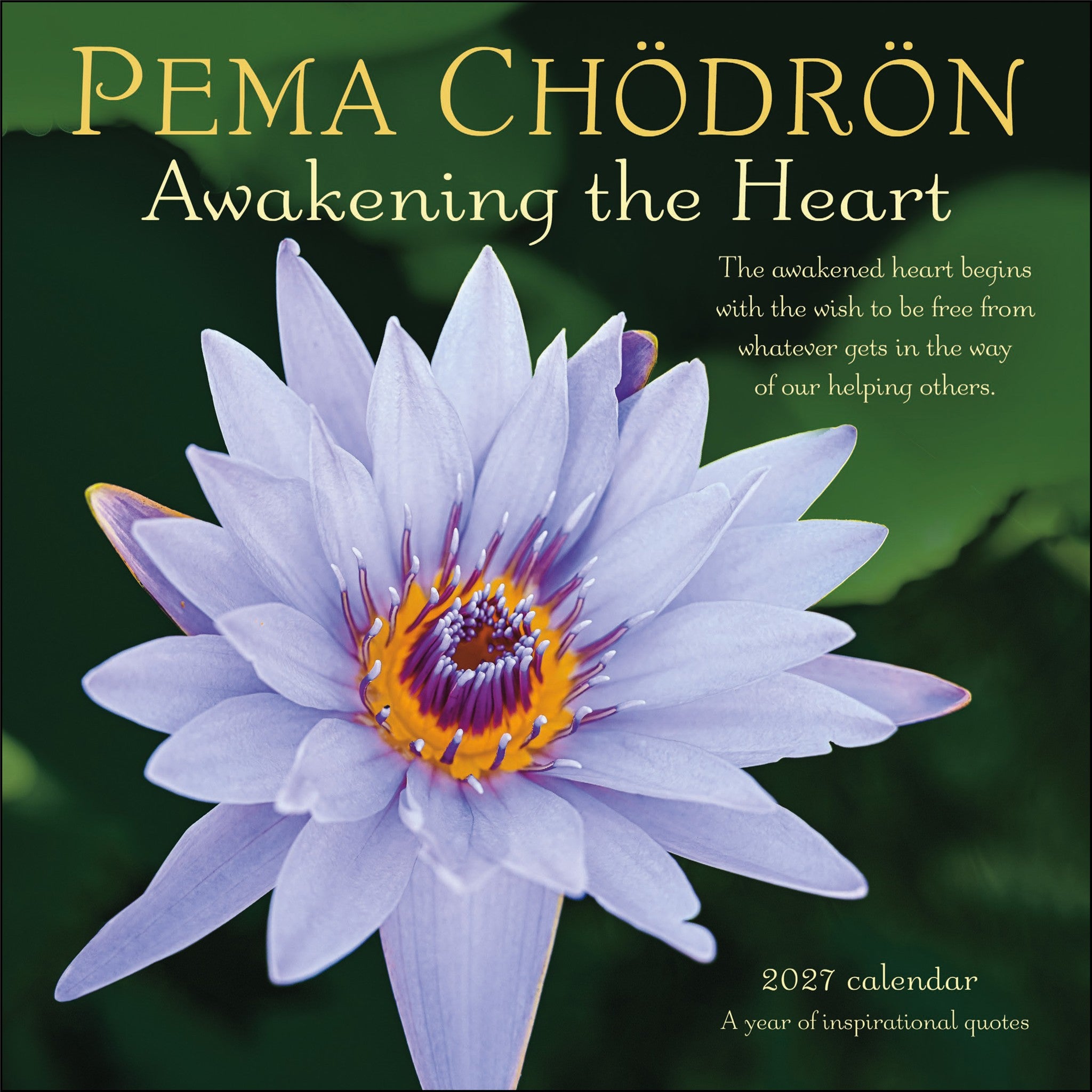 Pema Chödrön 2027 Wall Calendar - Online Only