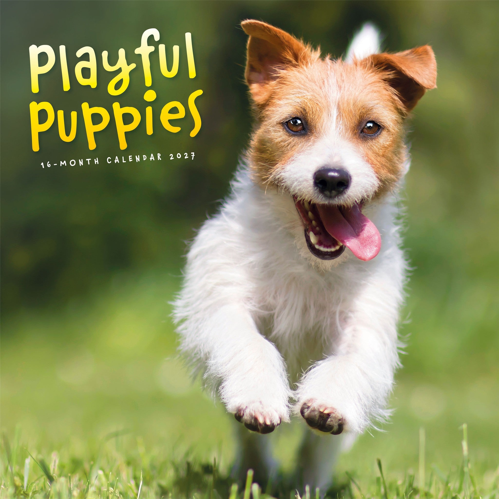 Playful Puppies 2027 Wall Calendar