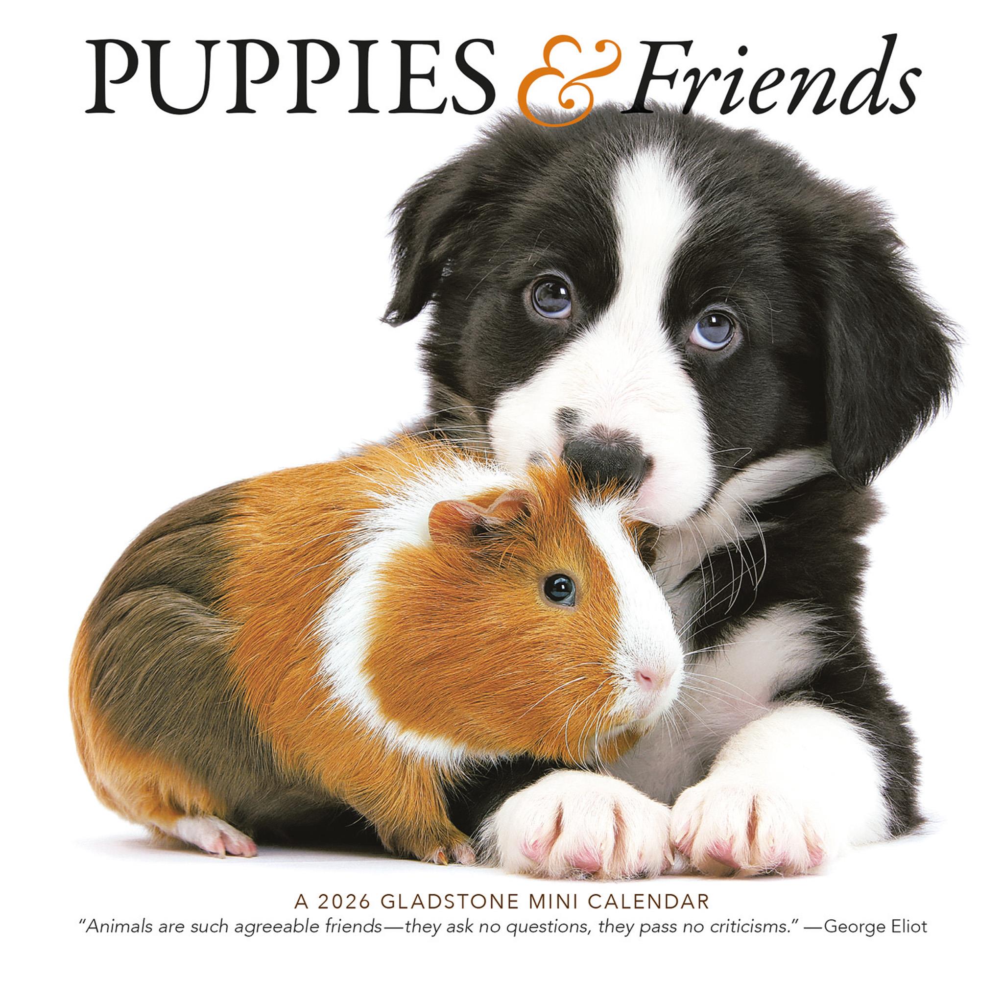 Puppies And Friends Mini 2026 Calendar