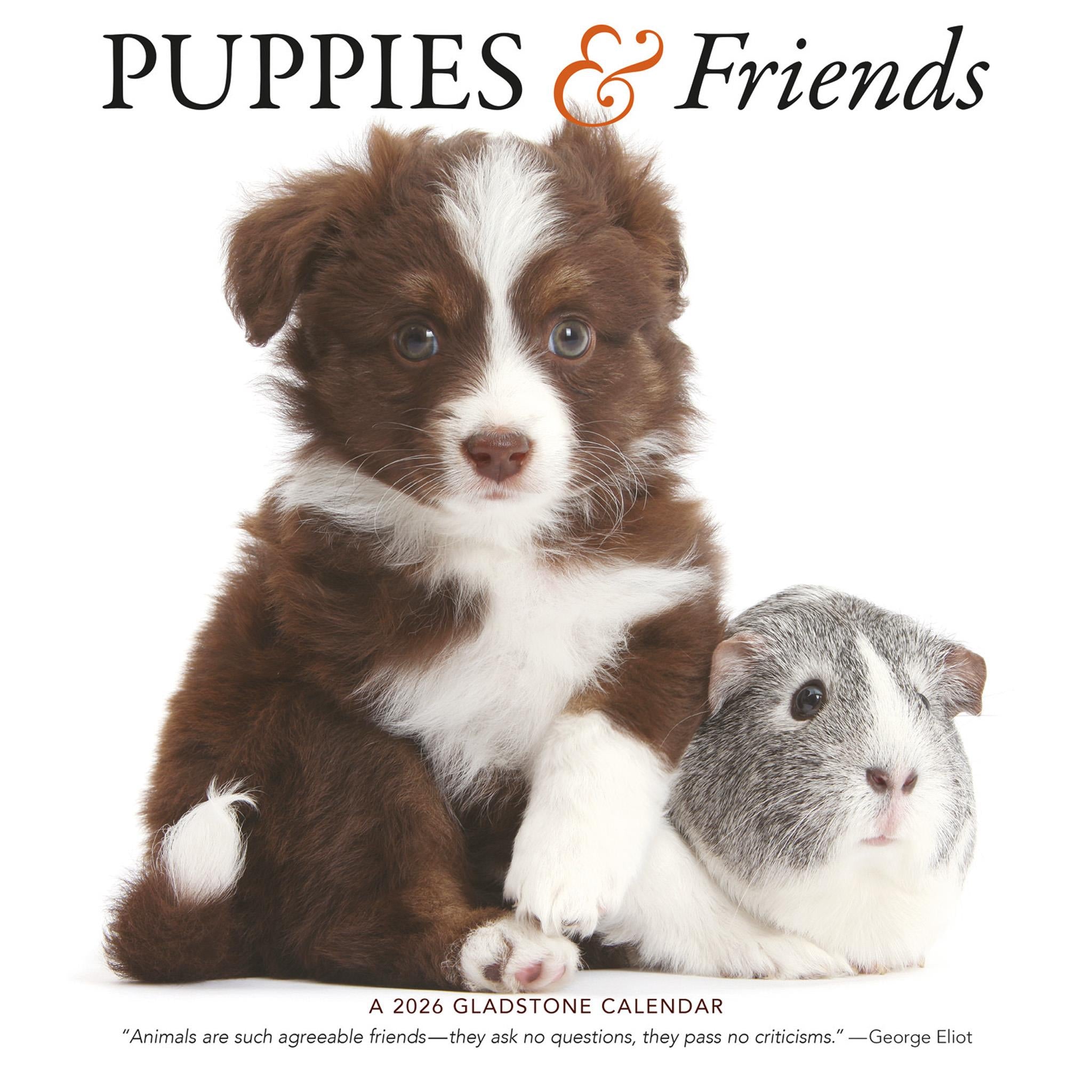 Puppies And Friends Wall 2026 Calendar