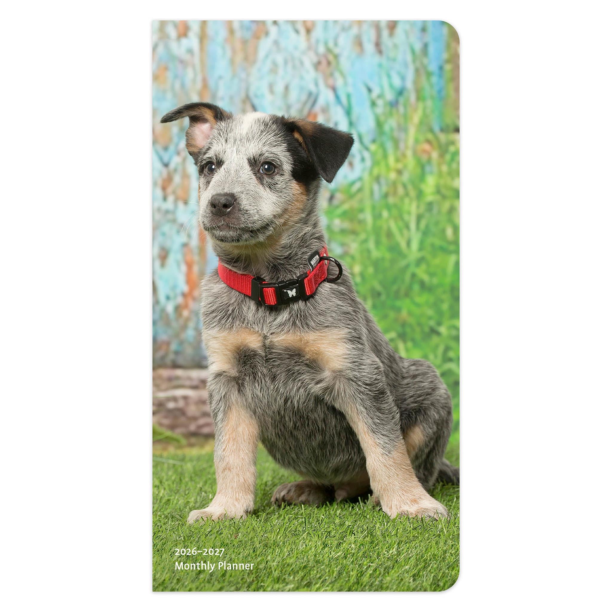 A pocket planner calendar cover featuring a cute puppy wearing a red collar, sitting on grass with a colorful background.