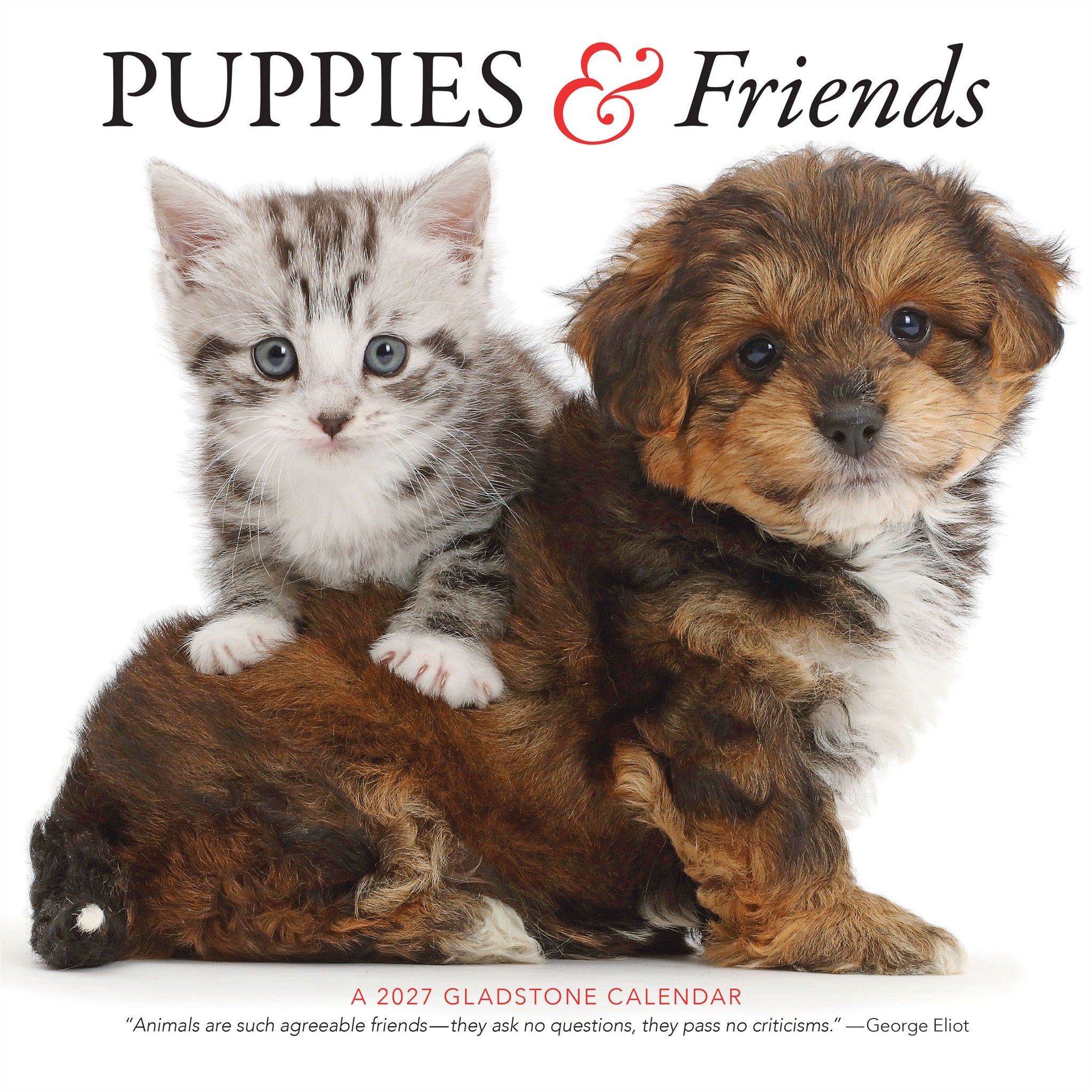 Puppies and Friends 2027 Wall Calendar