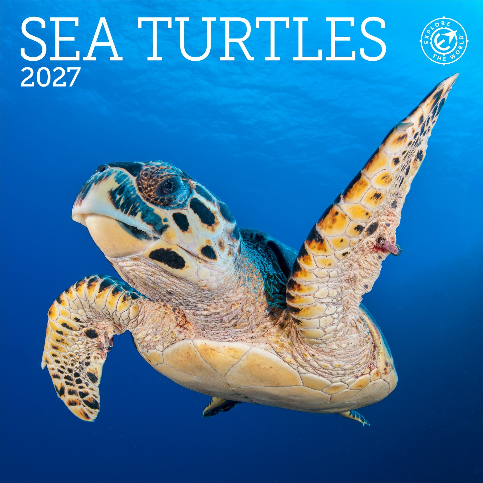Sea Turtles 2027 Mini Calendar