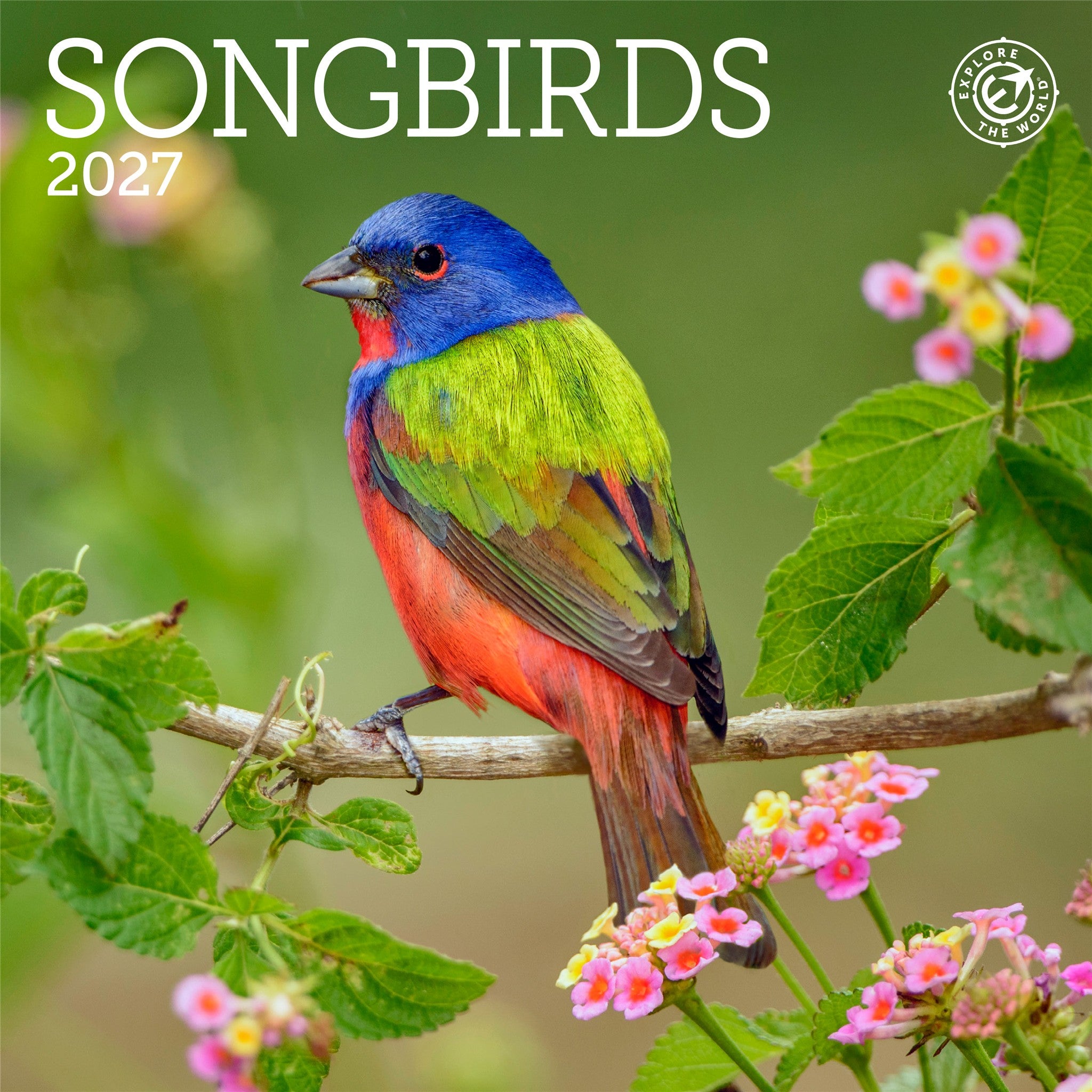 Songbirds 2027 Mini Calendar