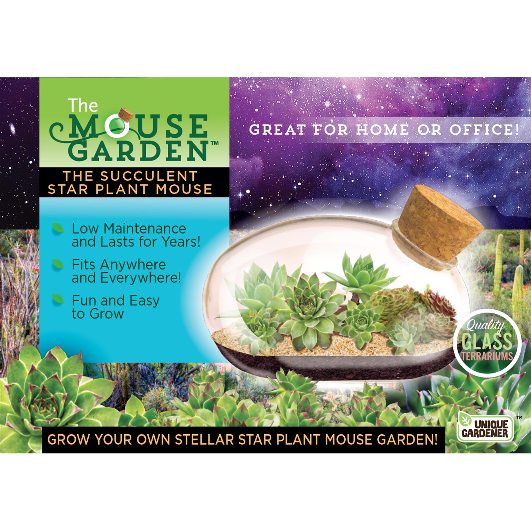 The product image shows a circular glass terrarium with a succulent plant inside, designed to look like a mouse. The terrarium has a label with the product name and a description stating it's suitable for home or office, requires low maintenance, fits anywhere, and is easy to grow.