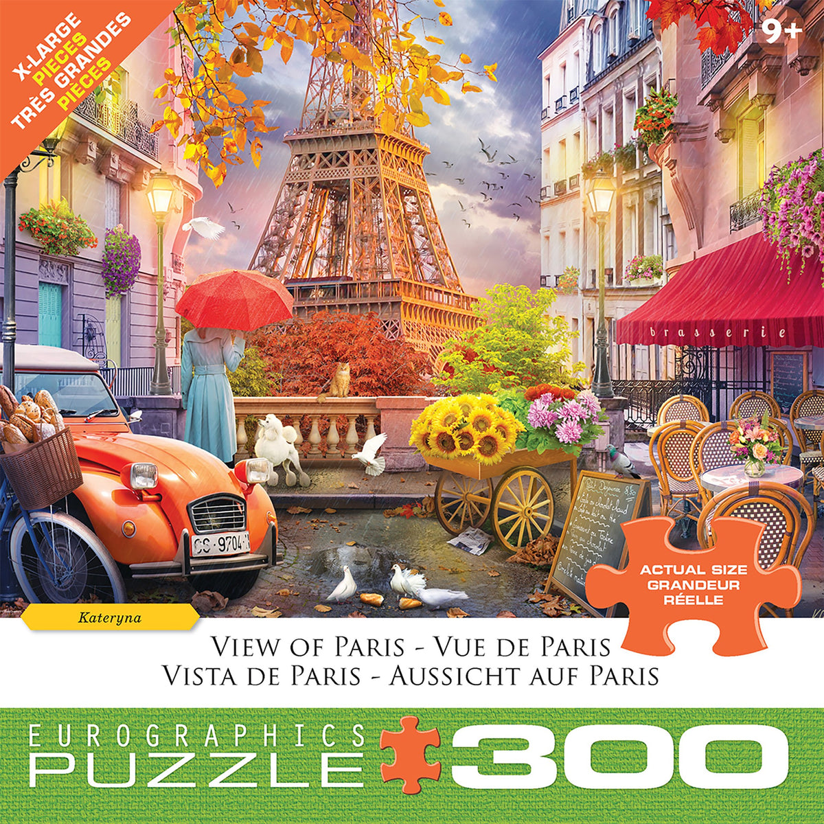 View of Paris 300 Piece Puzzle