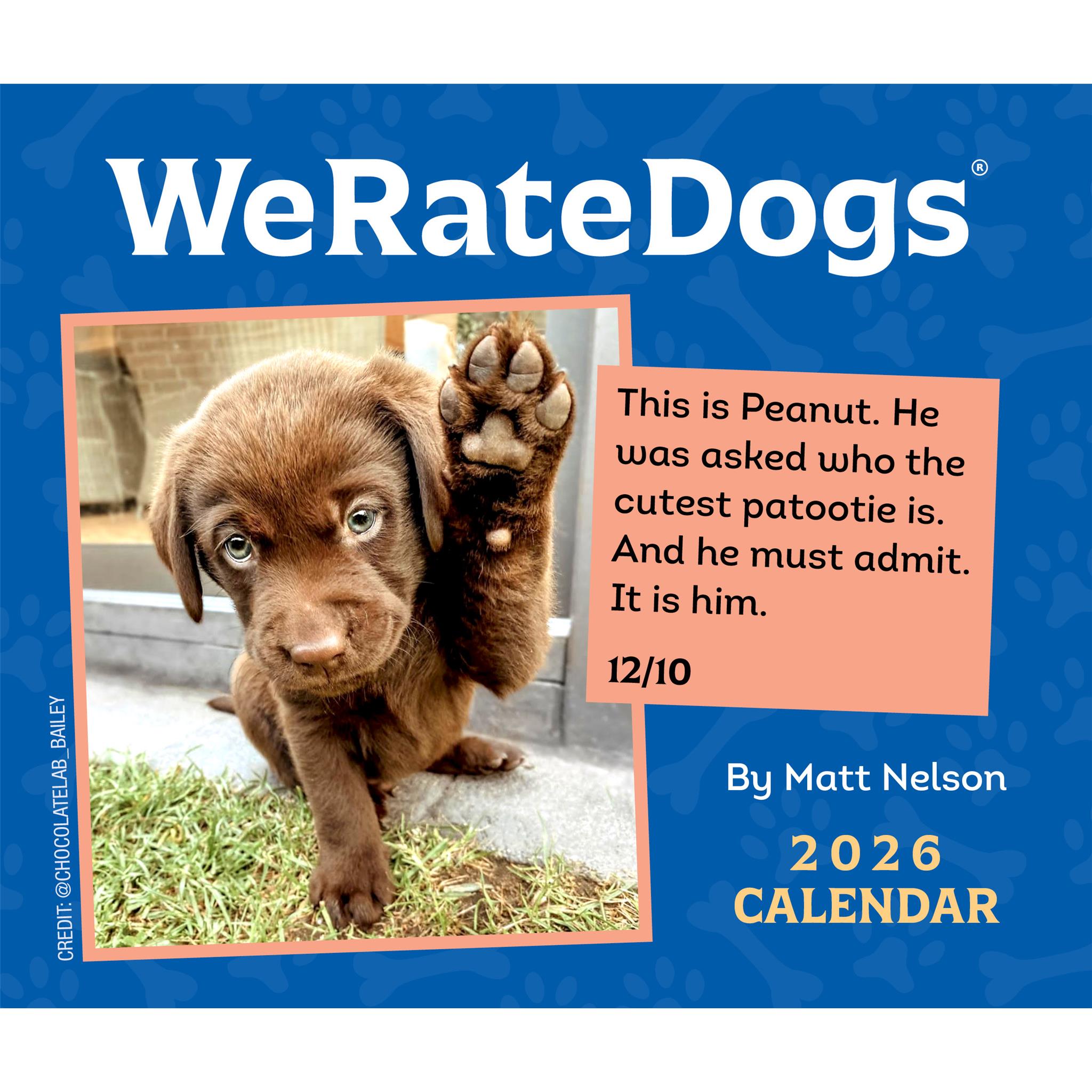 A box calendar for 2026 with a photo of a brown dog on the cover, titled 'WeRateDogs' by Matt Nelson.