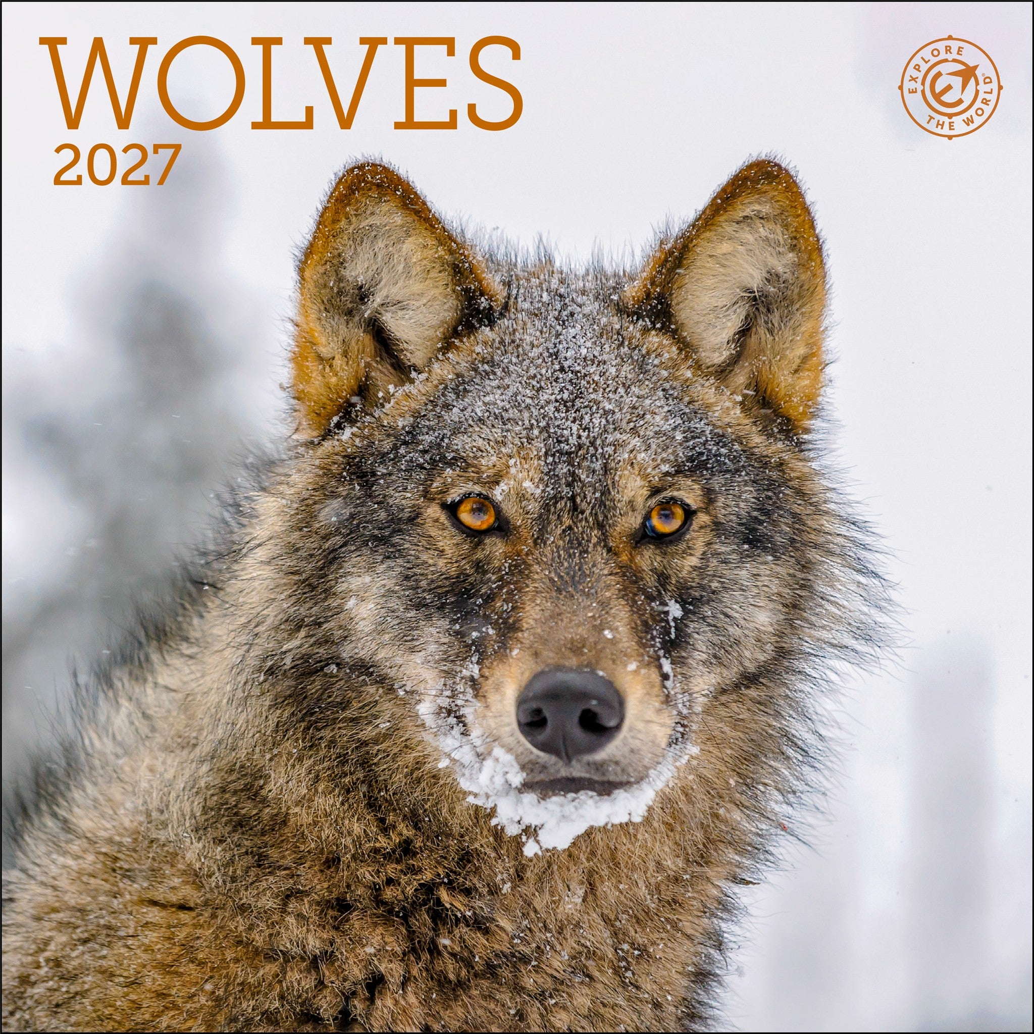 Wolves 2027 Mini Calendar