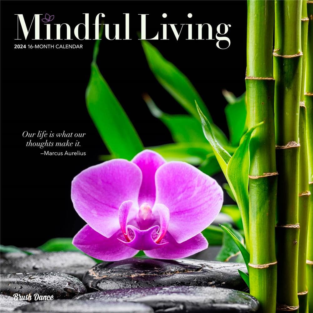 Mindful Living 2024 Wall Calendar product image