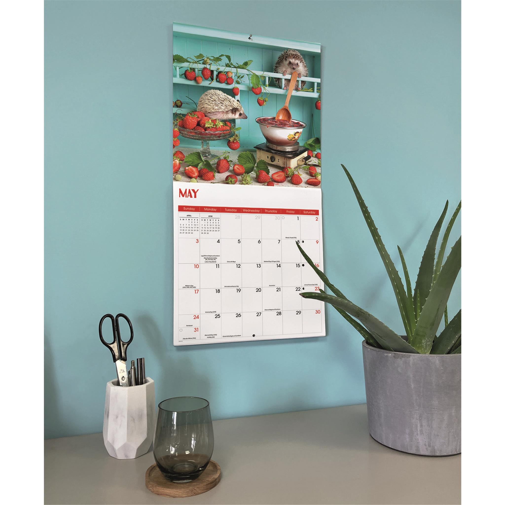 Hedgehogs 2026 Wall Calendar