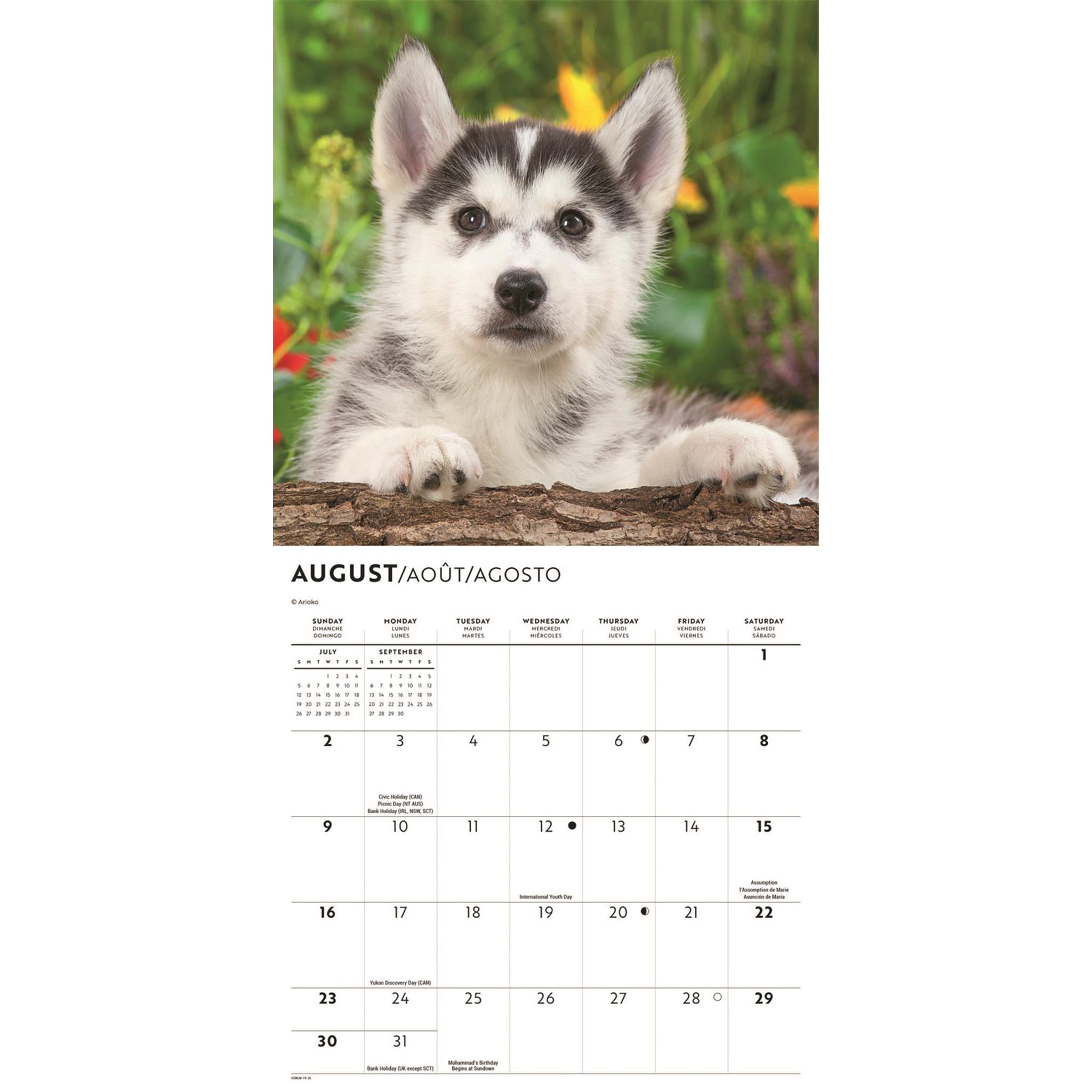 Siberian Husky Puppies 2026 Mini Calendar