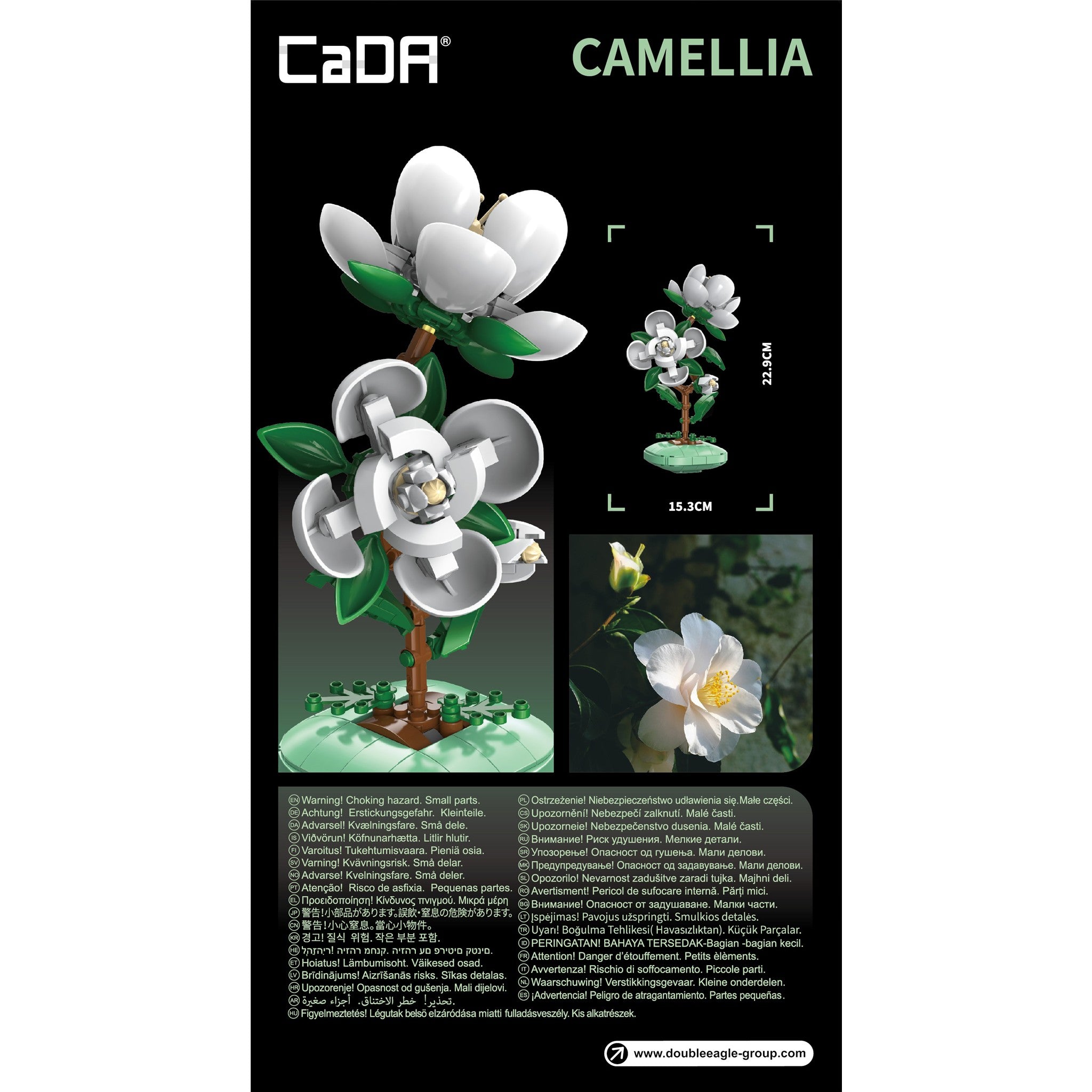 Camellia 301 Pieces