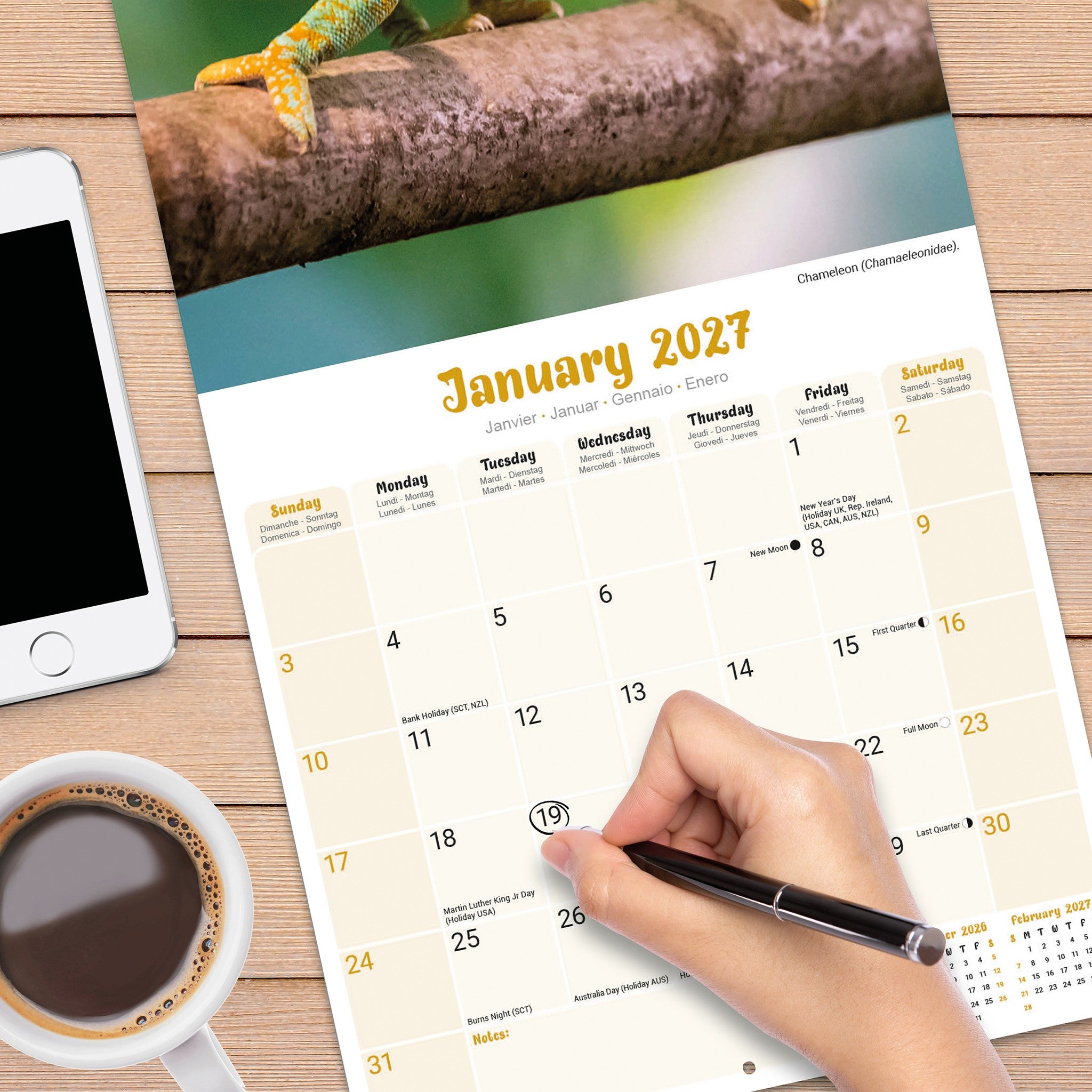 Lizards 2027 Wall Calendar