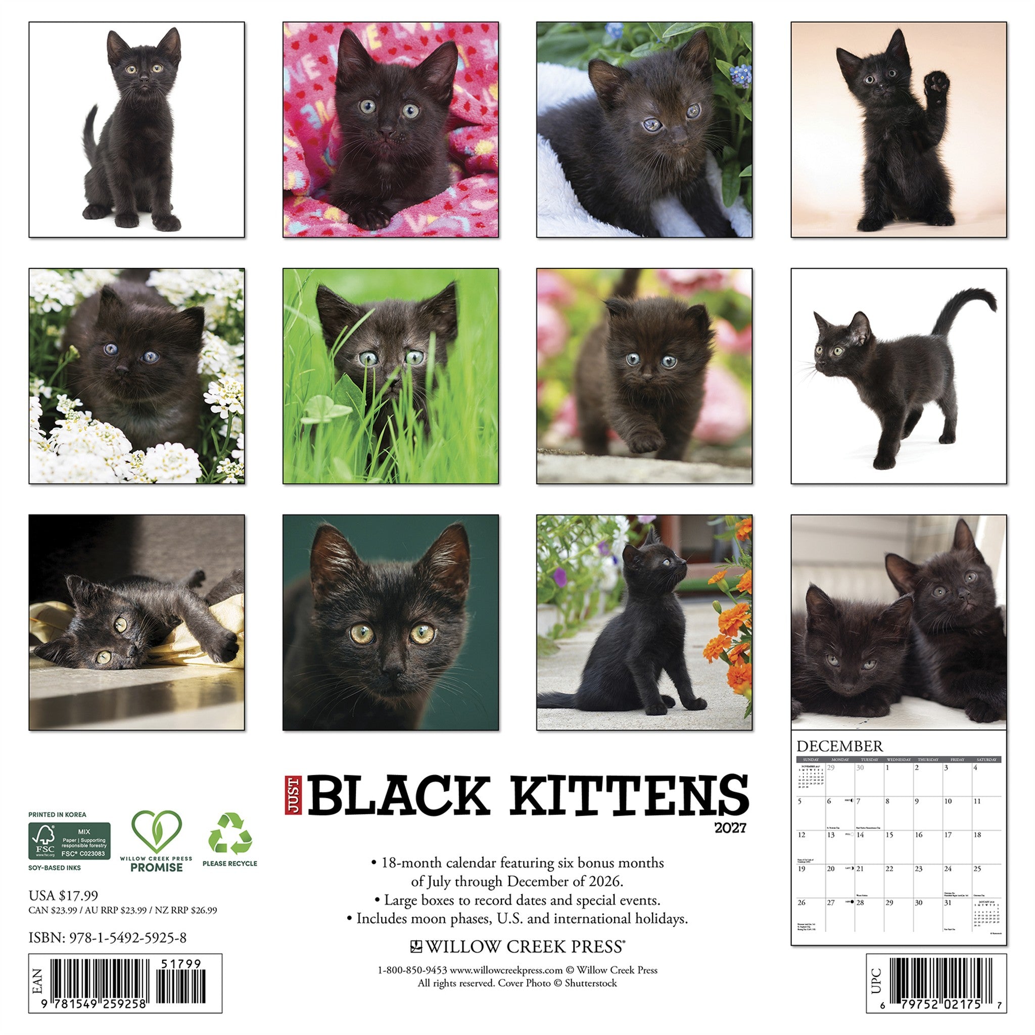 Black Kittens 2027 Wall Calendar - Online Only