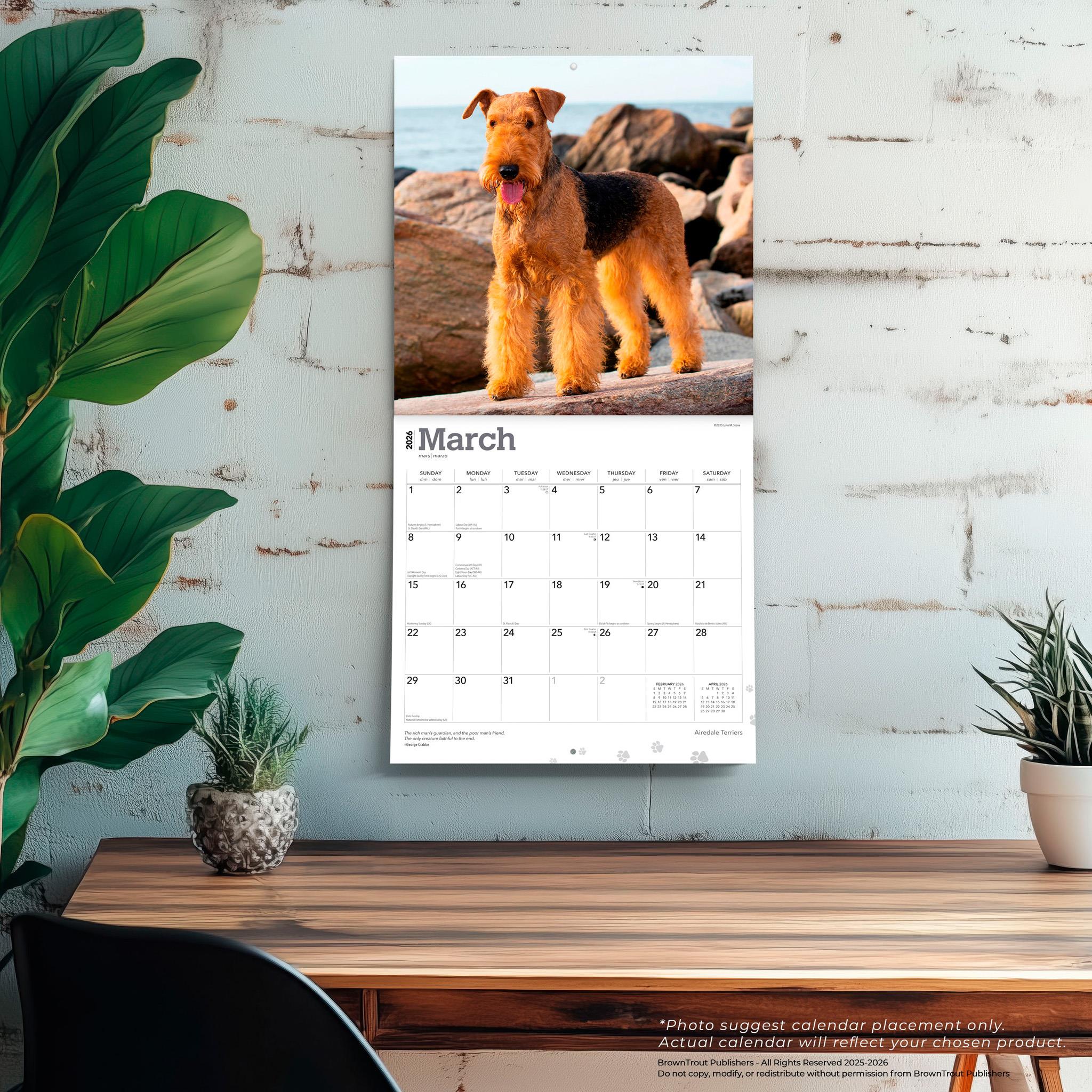 Airedale Terriers 2026 Wall Calendar