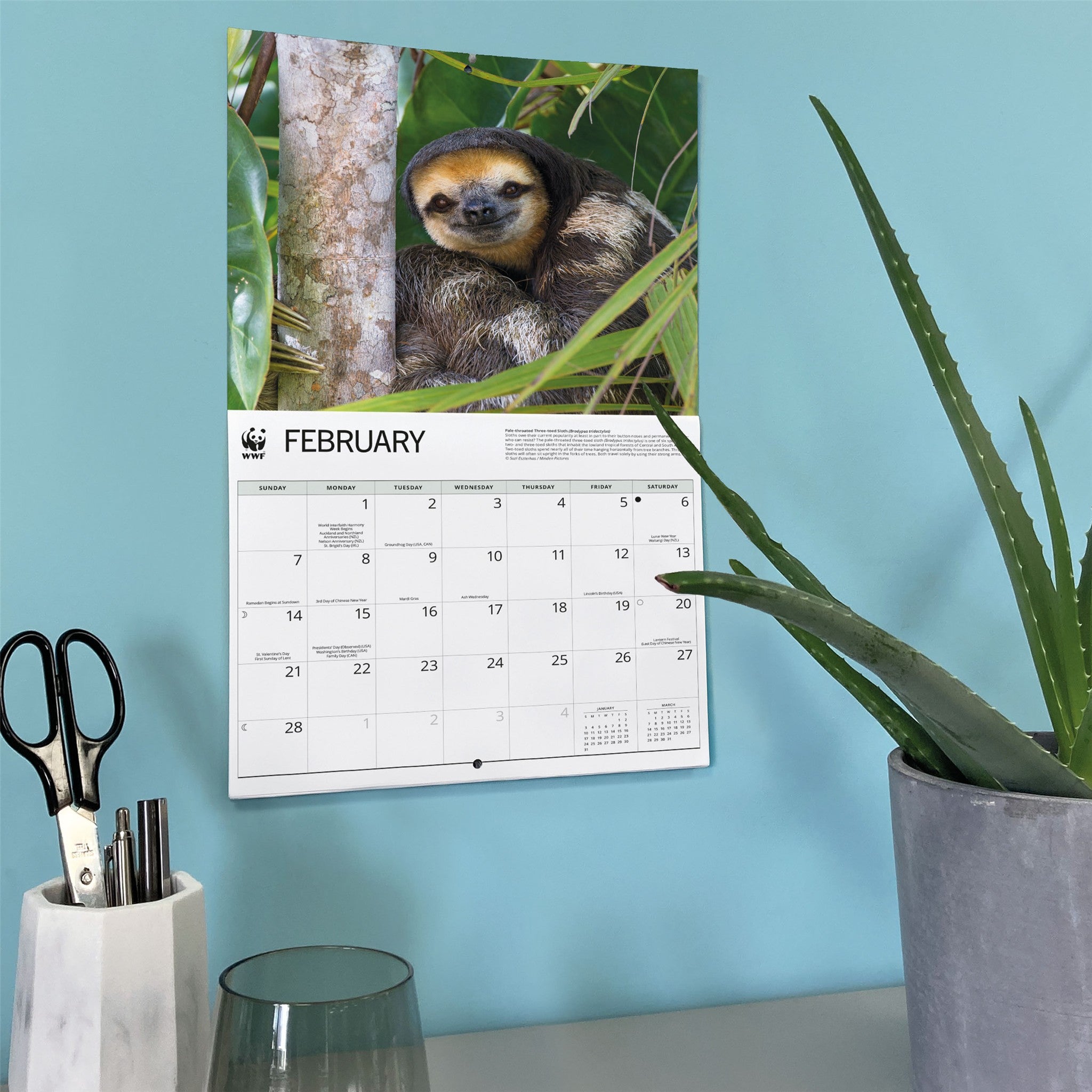 World Wildlife Fund Sloths 2027 Wall Calendar