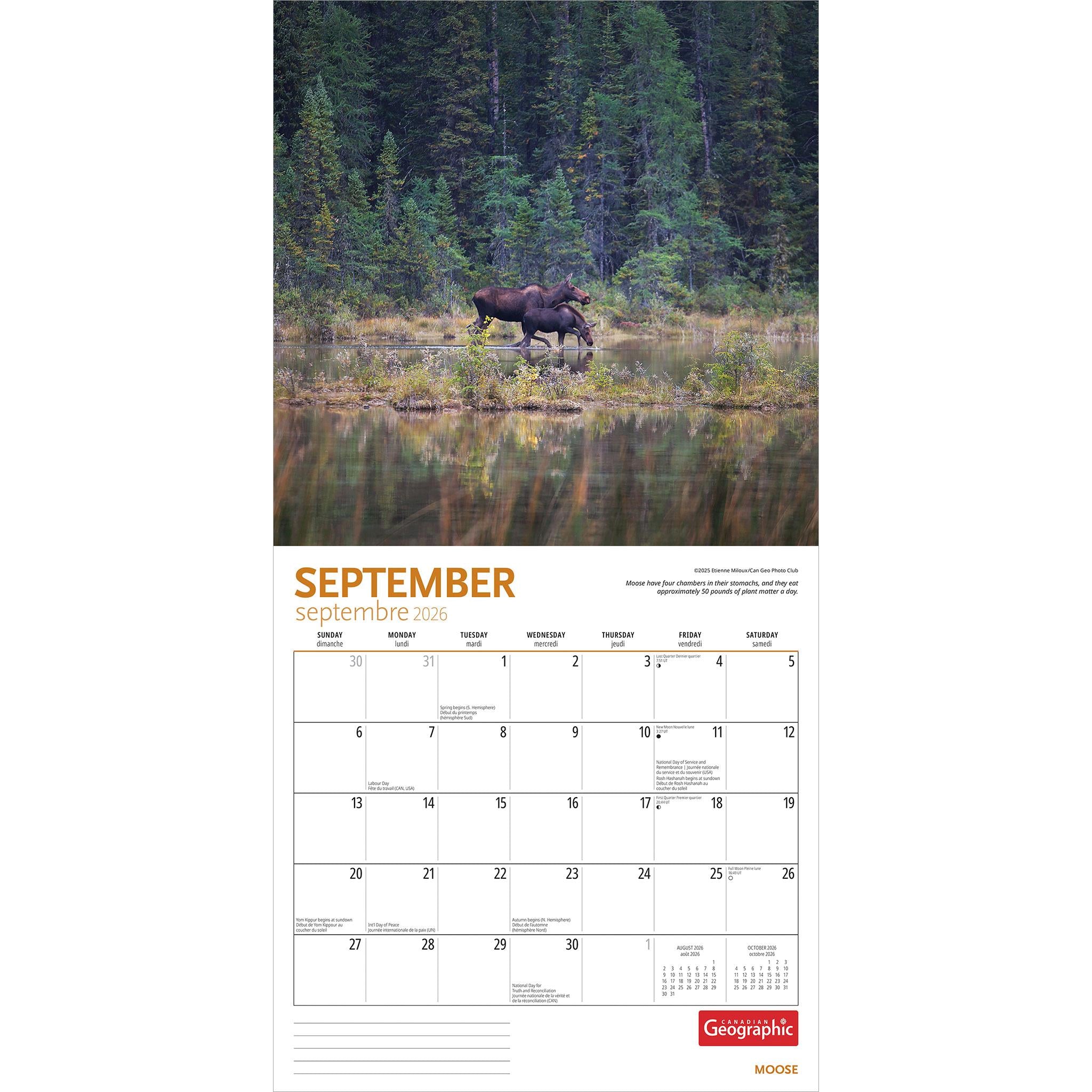 Canadian Geographic Moose 2026 Wall Calendar