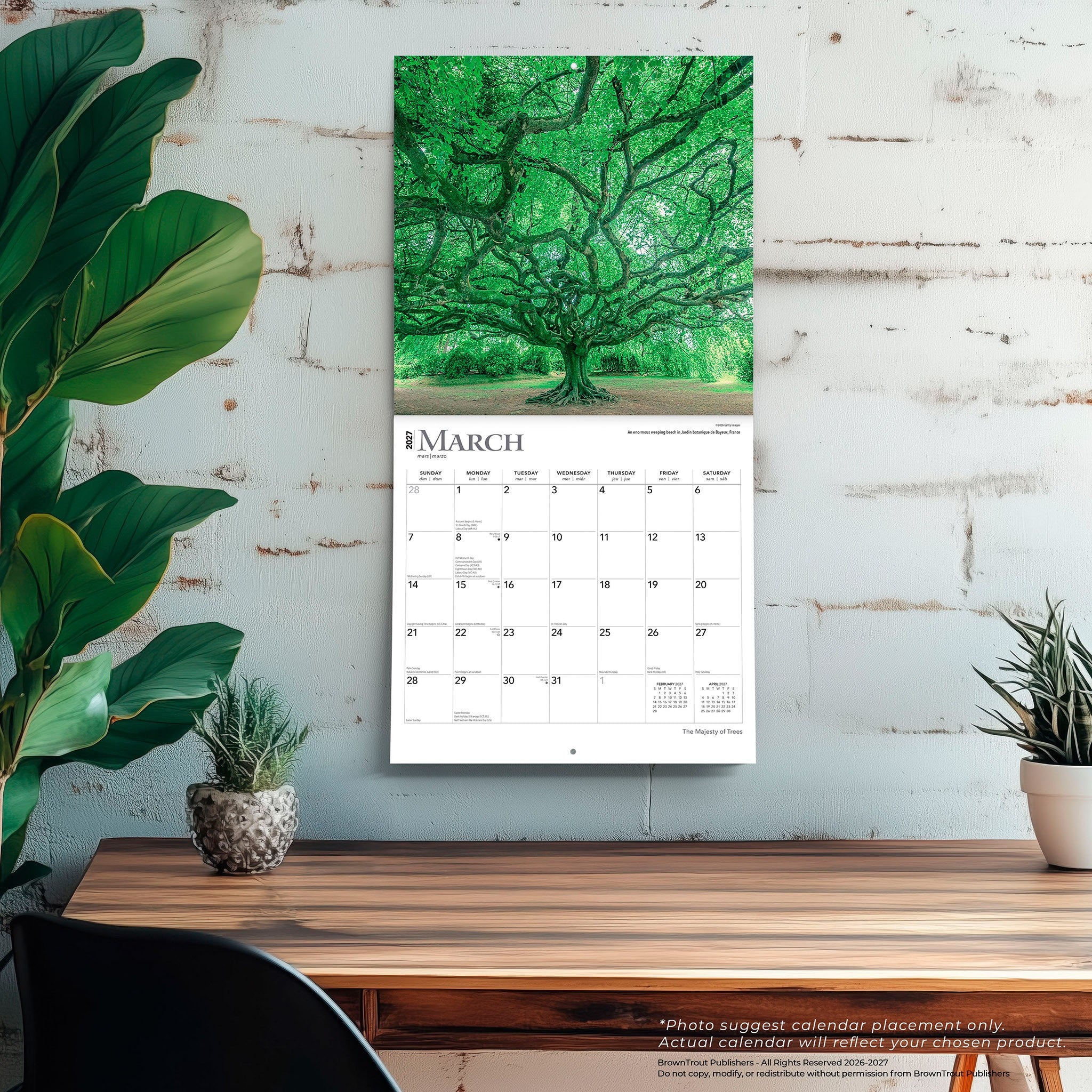 Majesty of Trees 2027 Wall Calendar - Online Only