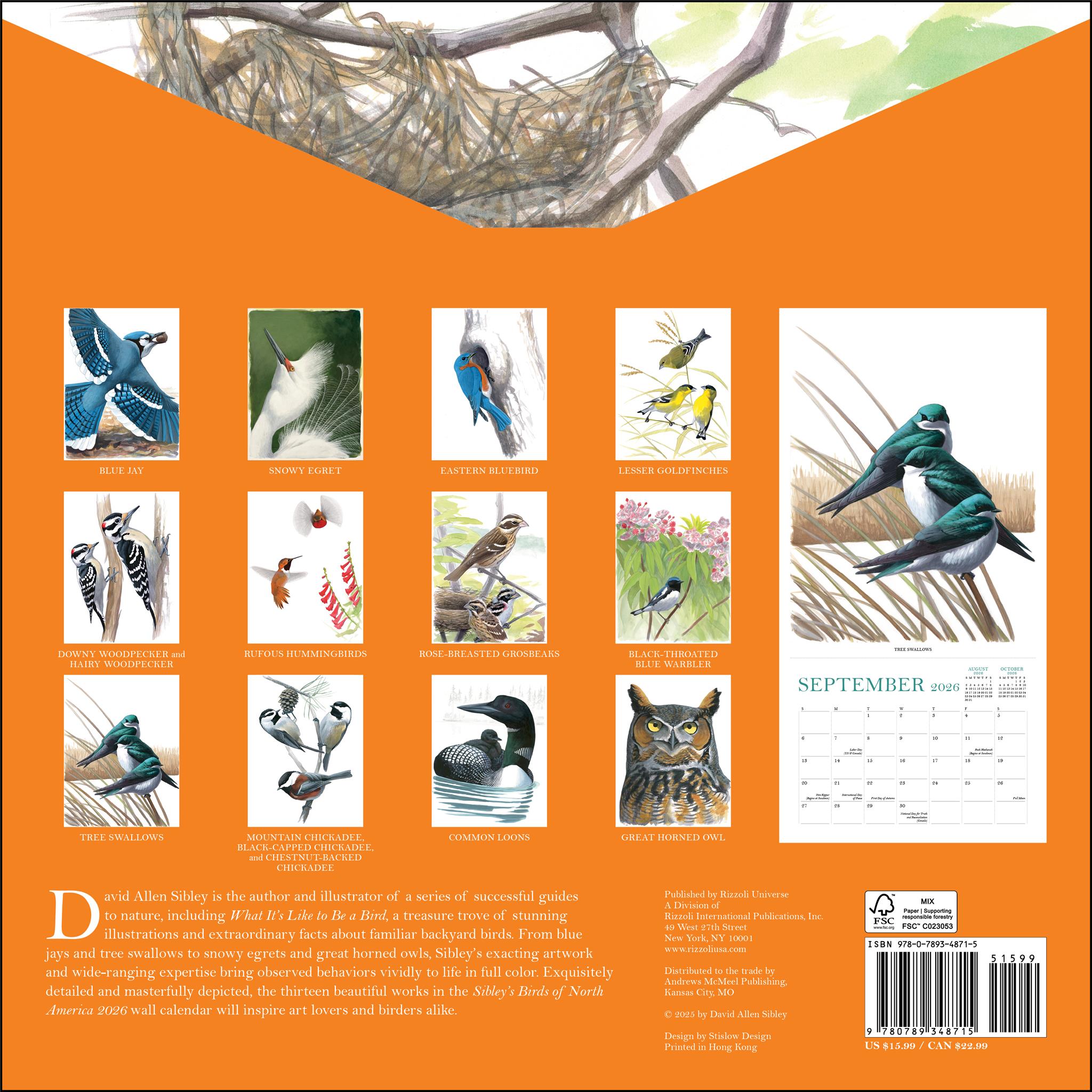 Sibley's Birds Of North America 2026 Wall Calendar - Online Exclusive