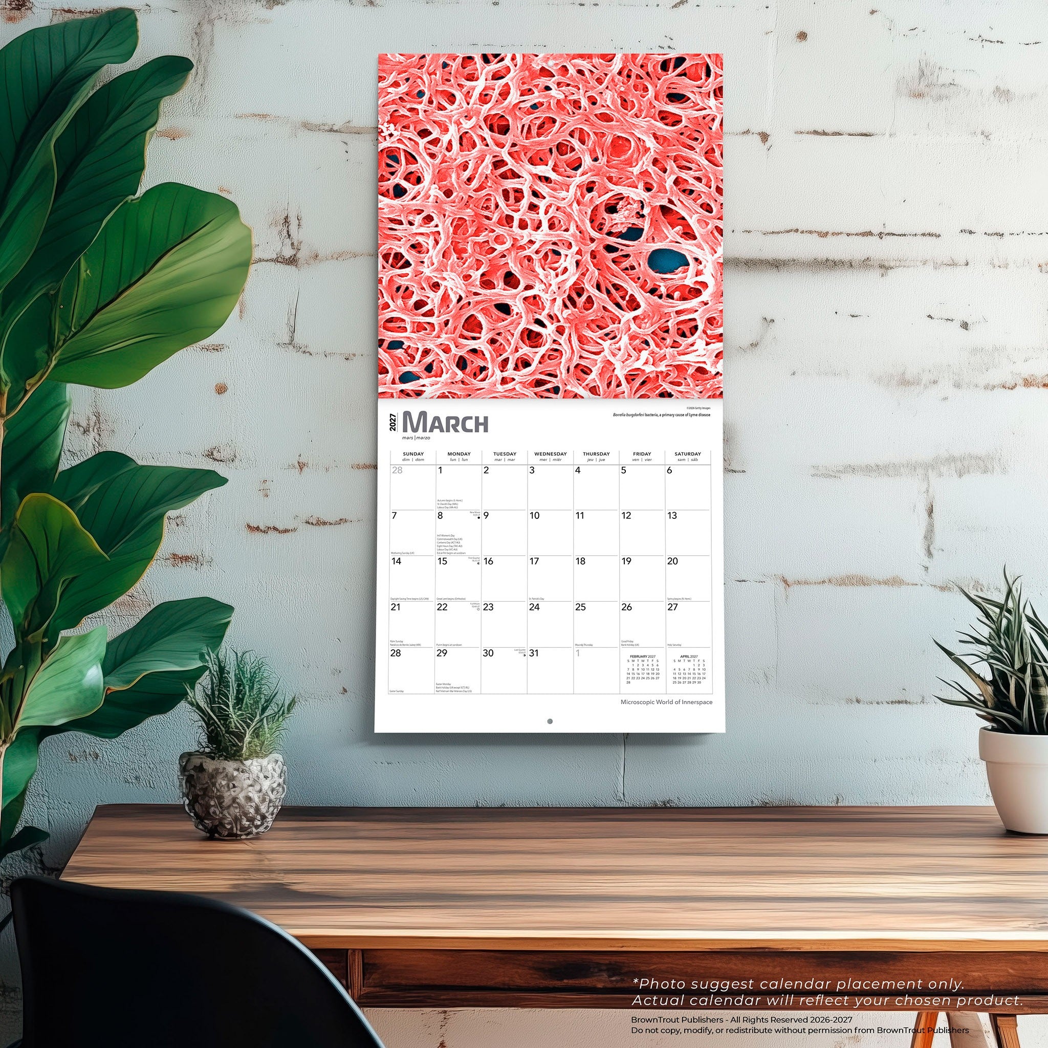 Innerspace 2027 Wall Calendar