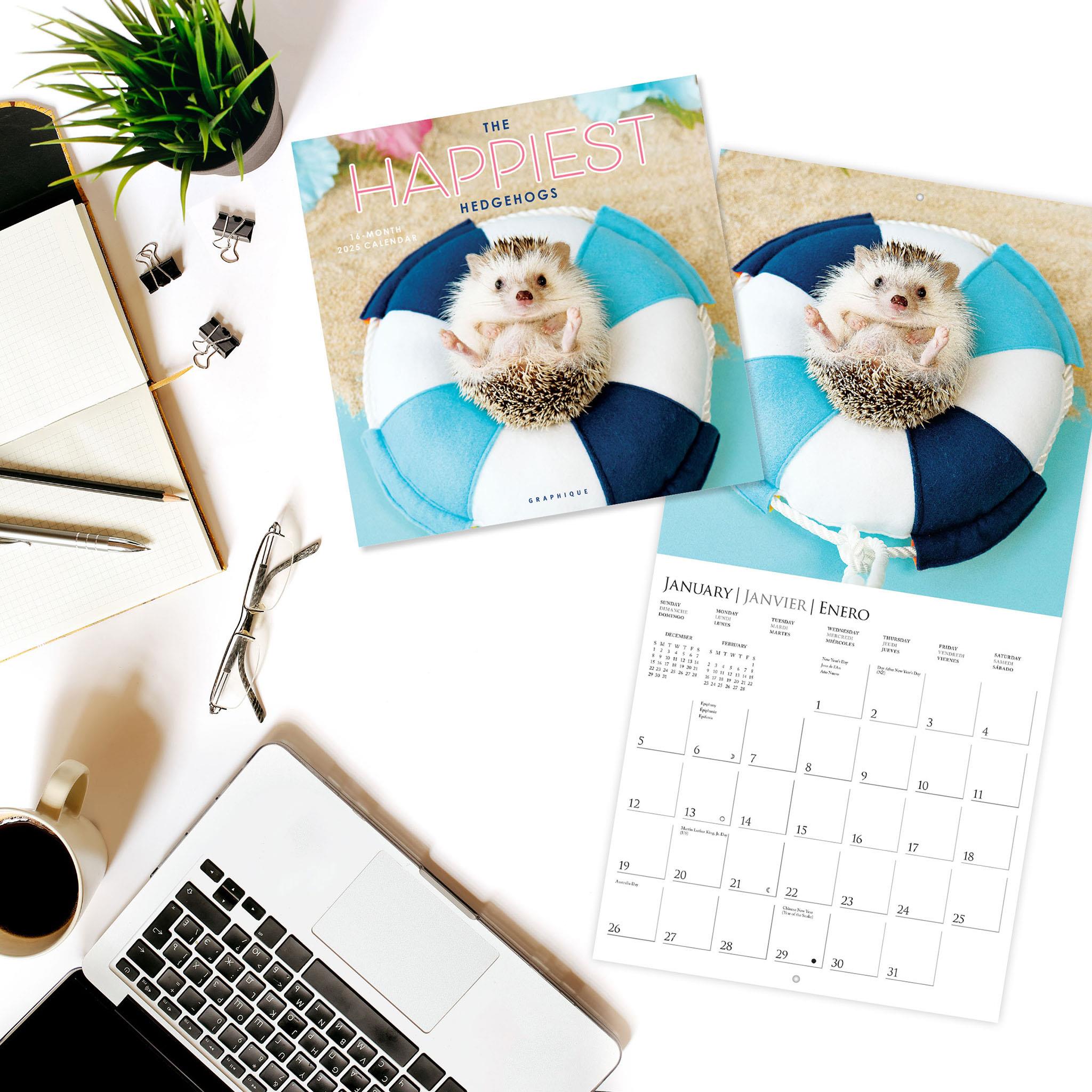 Happiest Hedgehogs Wall 2025 Calendar