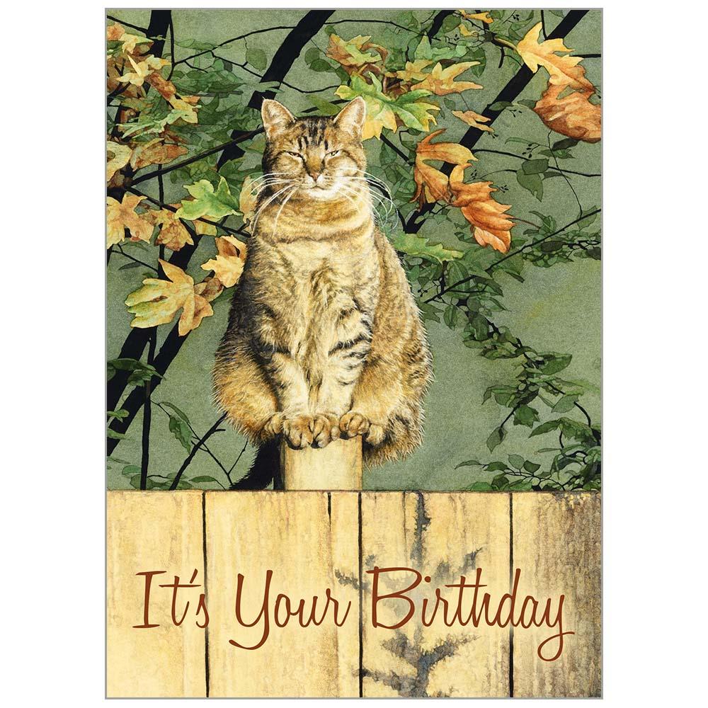 Cats We Love 2024 Special Edition Wall Calendar