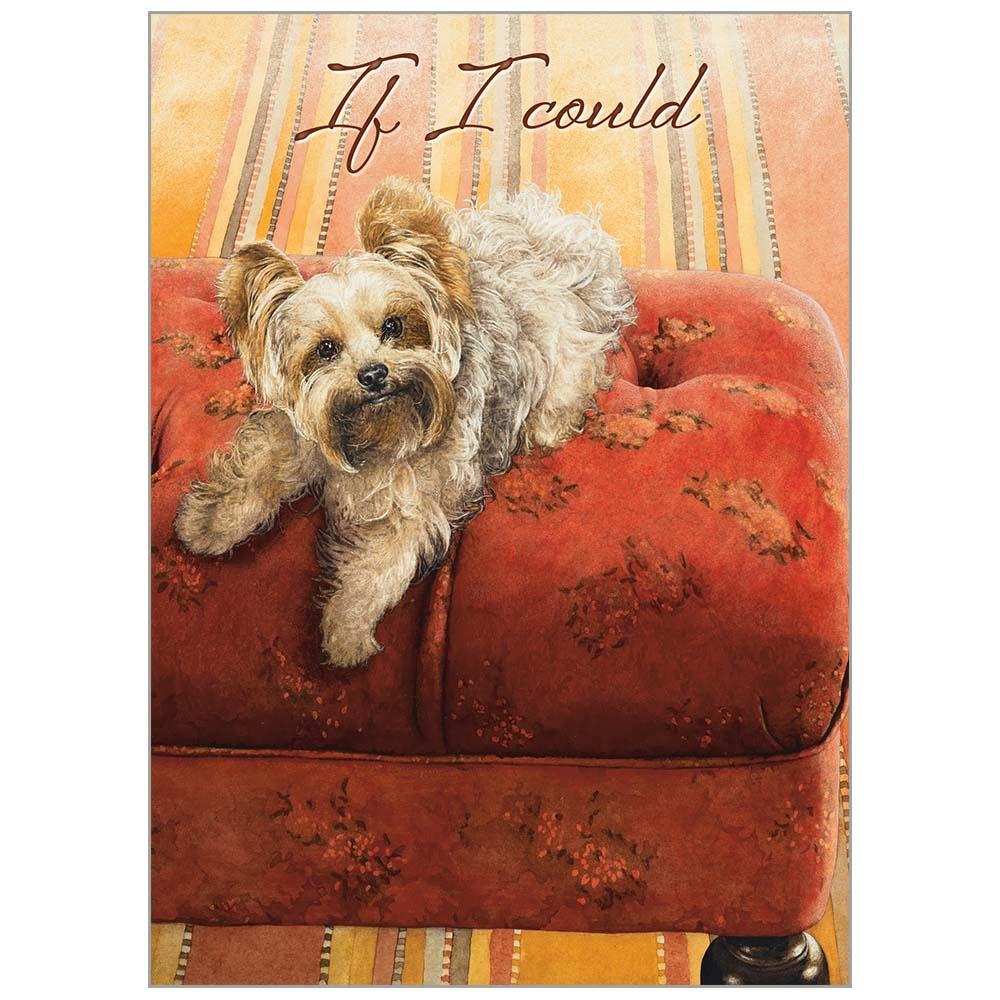 Dogs We Love 2024 Special Edition Wall Calendar