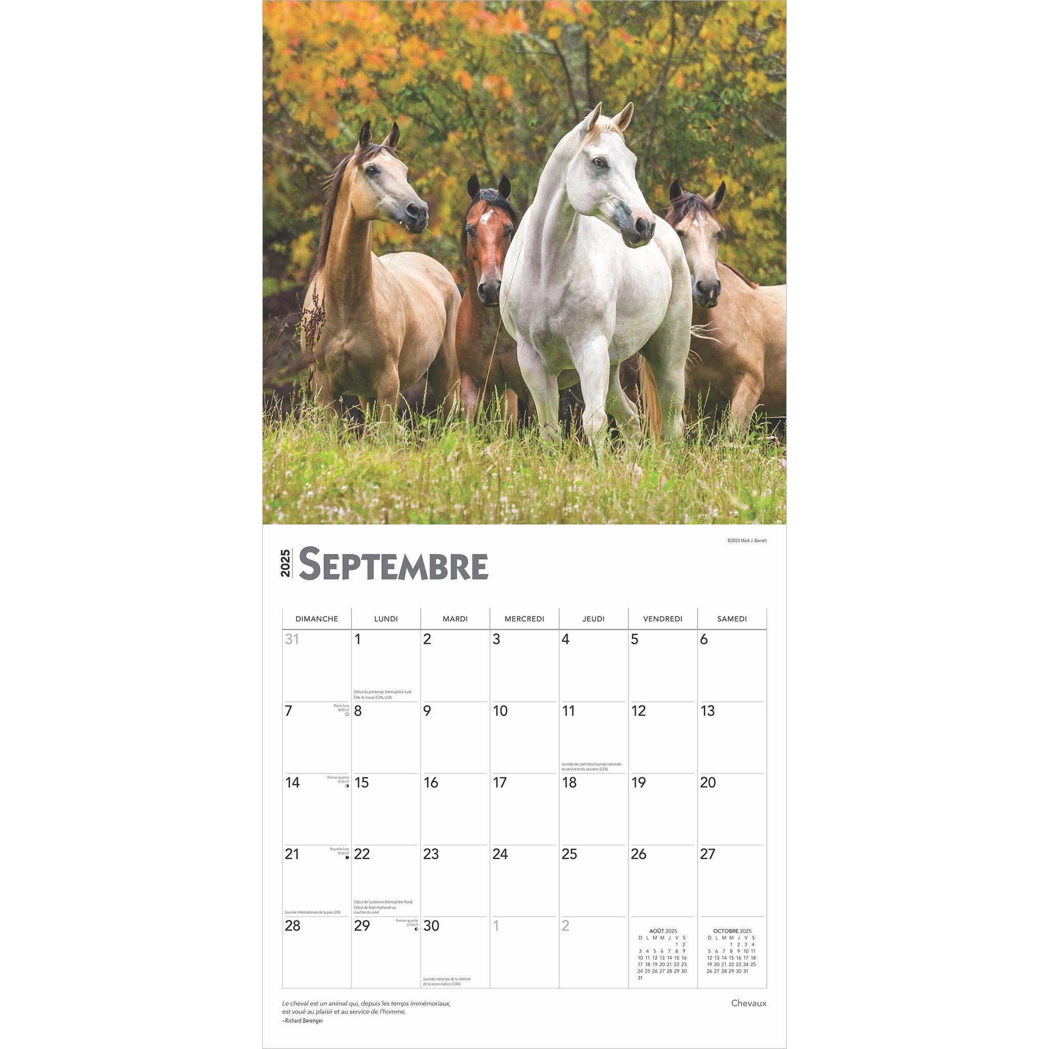 Chevaux Wall 2025 Calendar (French)
