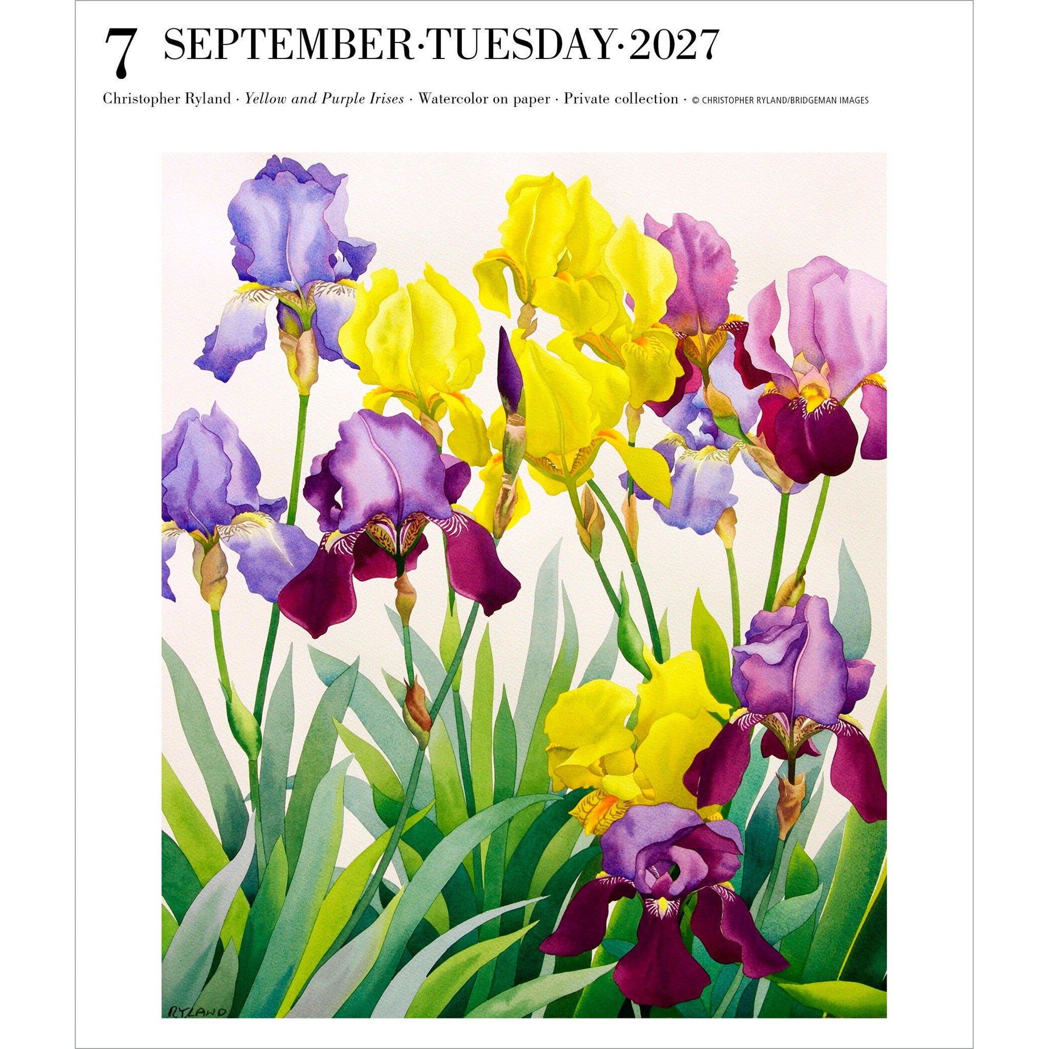 Art Gallery 2027 Box Calendar