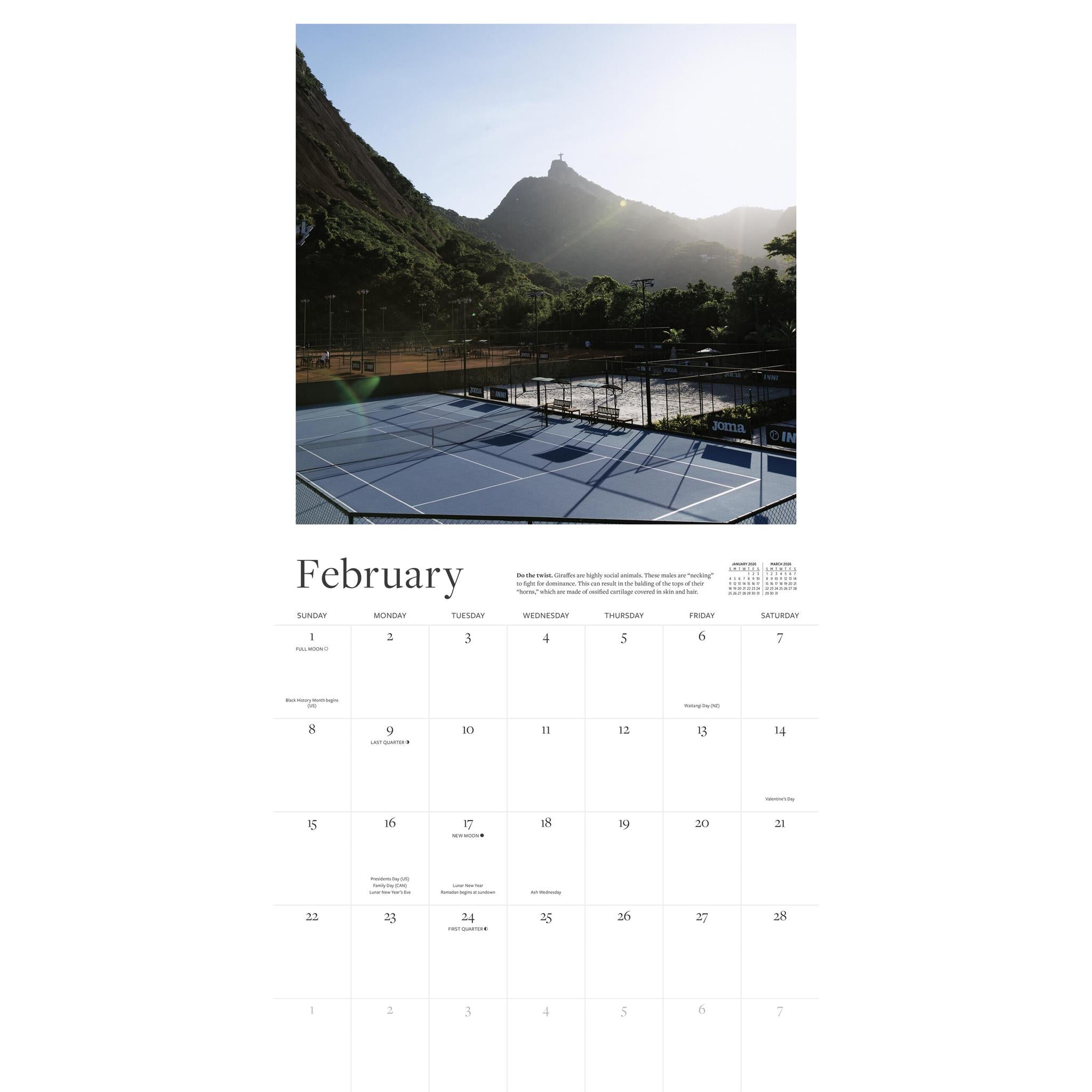 The Tennis Court 2026 Wall Calendar - Online Only