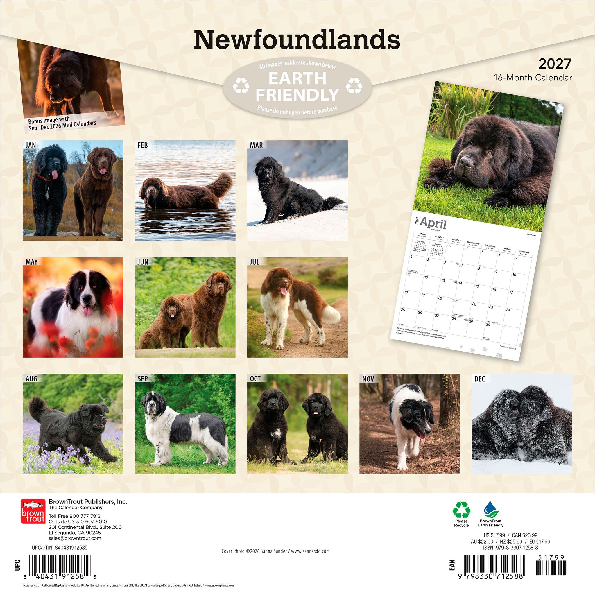 Newfoundlands 2027 Wall Calendar