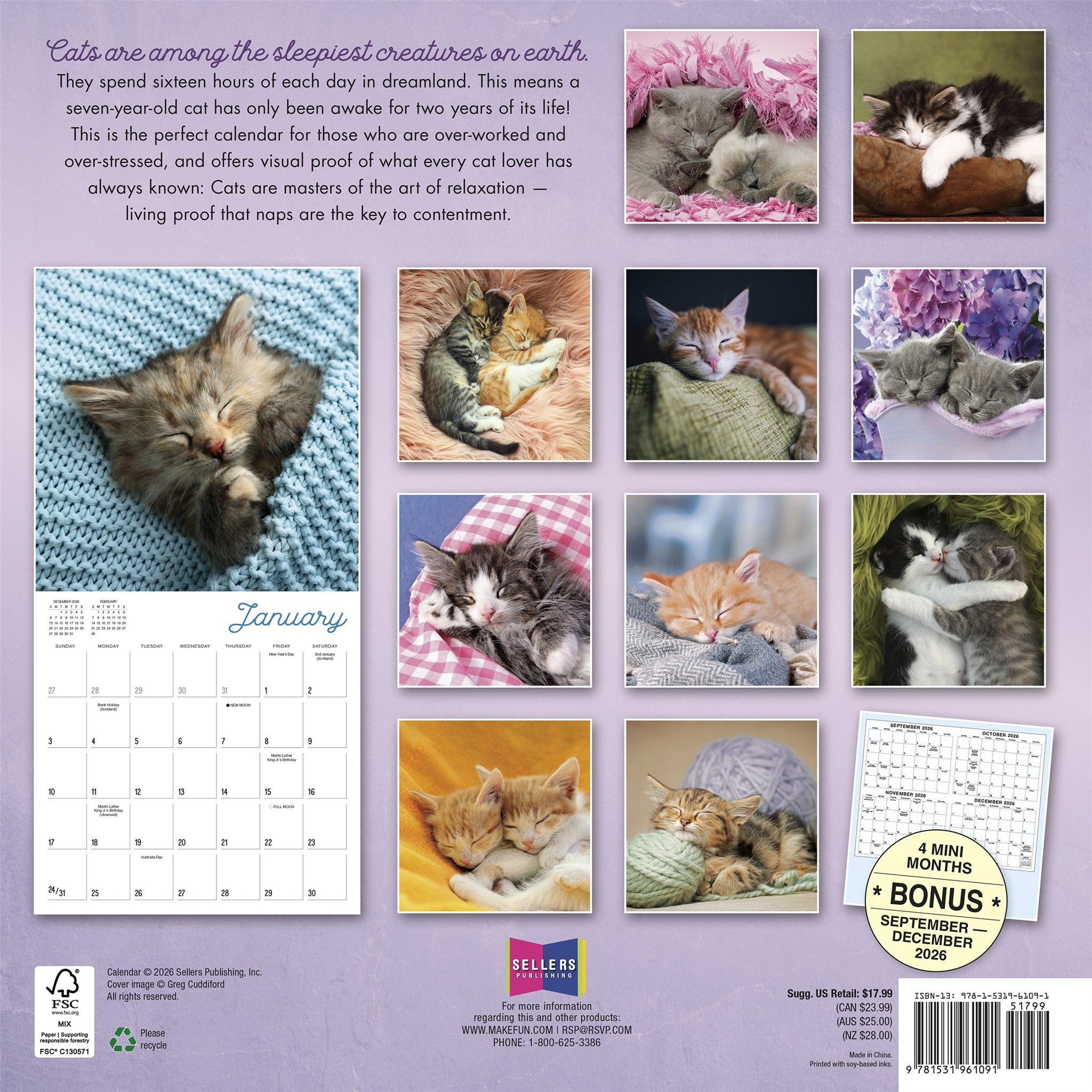 Cat Naps 2027 Wall Calendar - Online Only