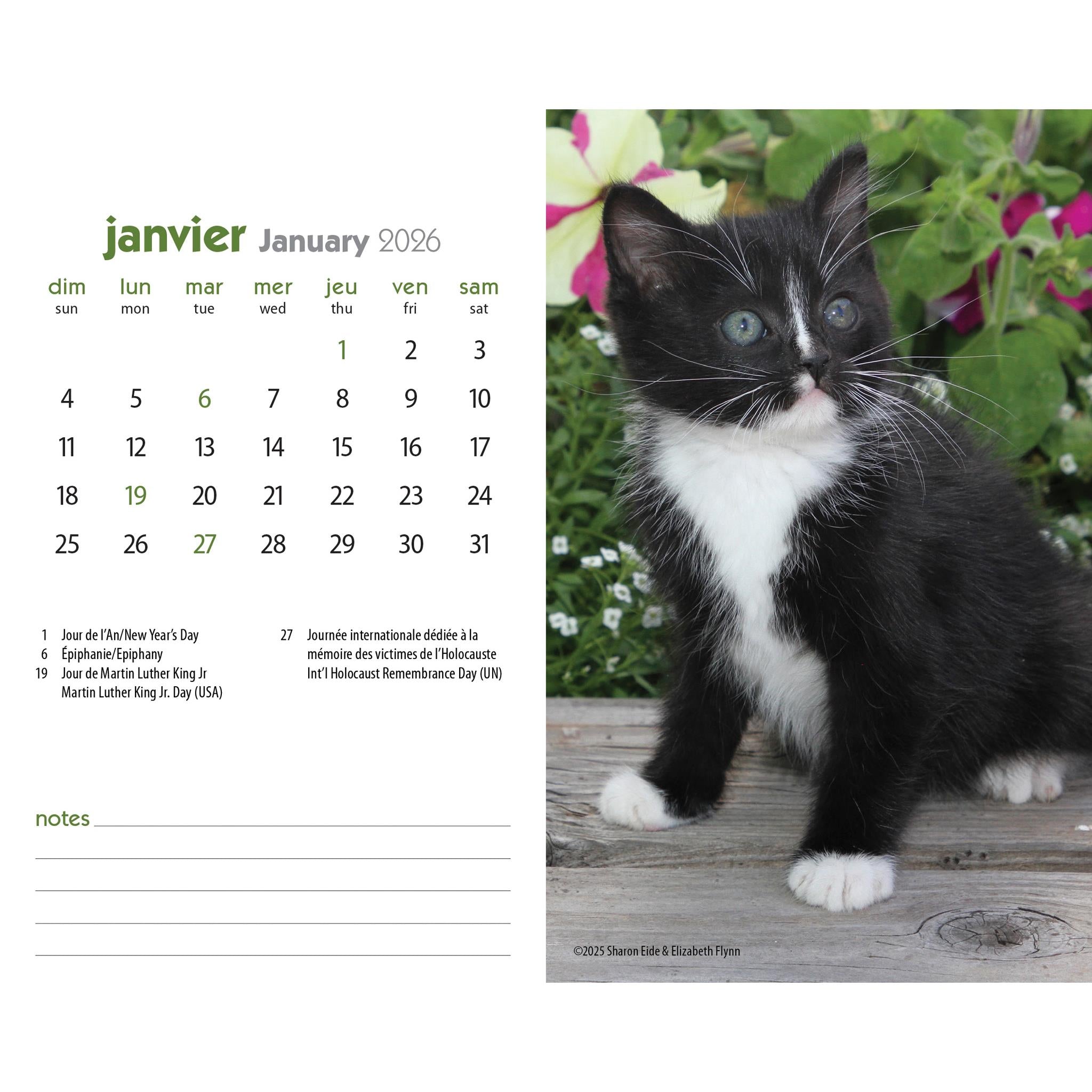 Chatons 2026 Double View Easel Calendar (French)