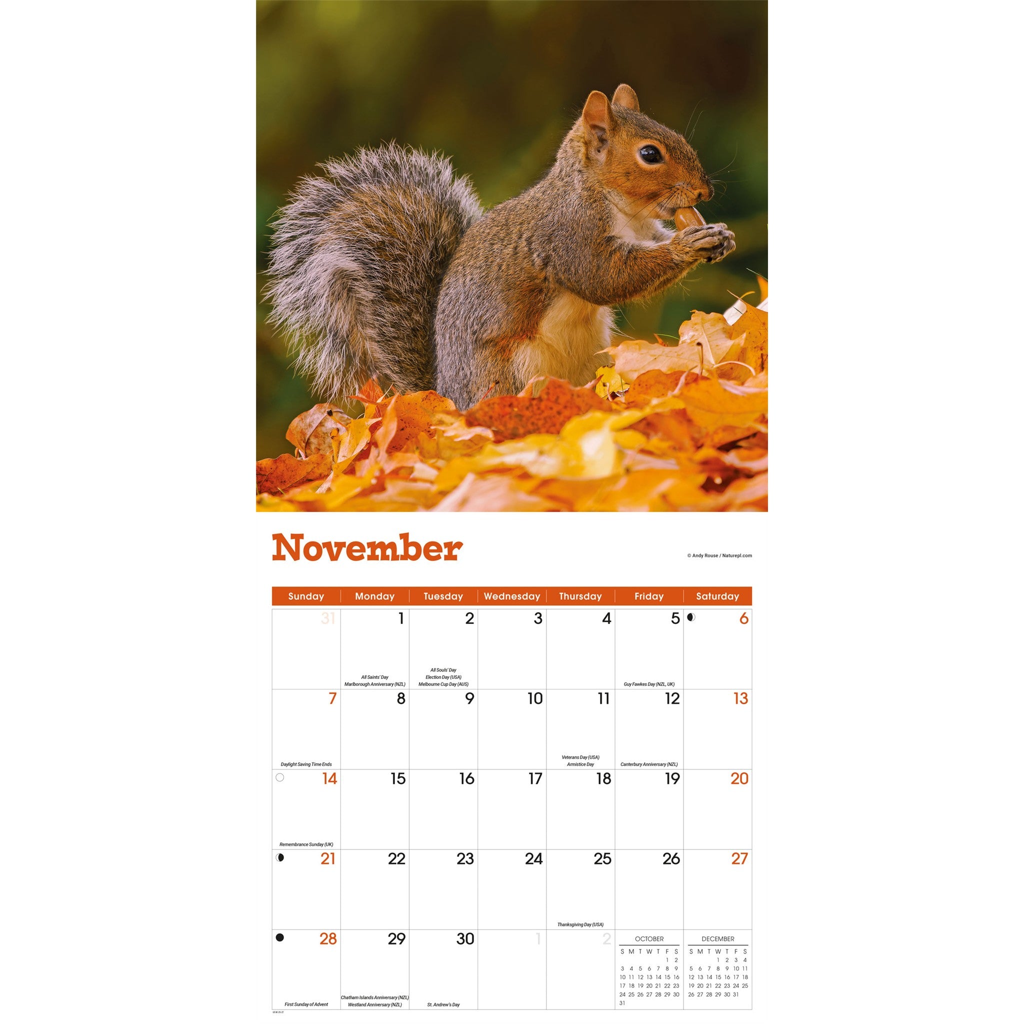 Squirrels 2027 Wall Calendar
