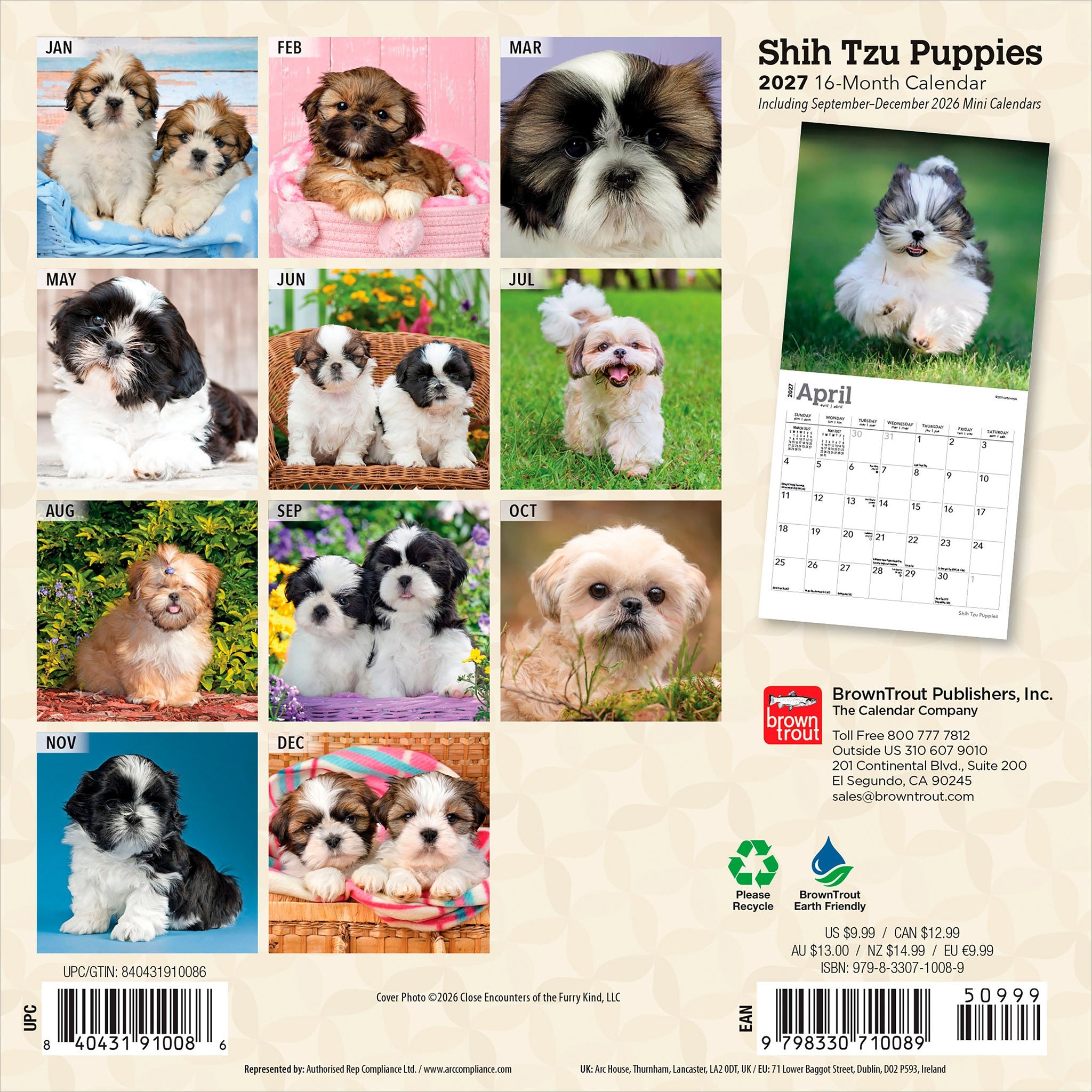 Shih Tzu Puppies 2027 Mini Calendar