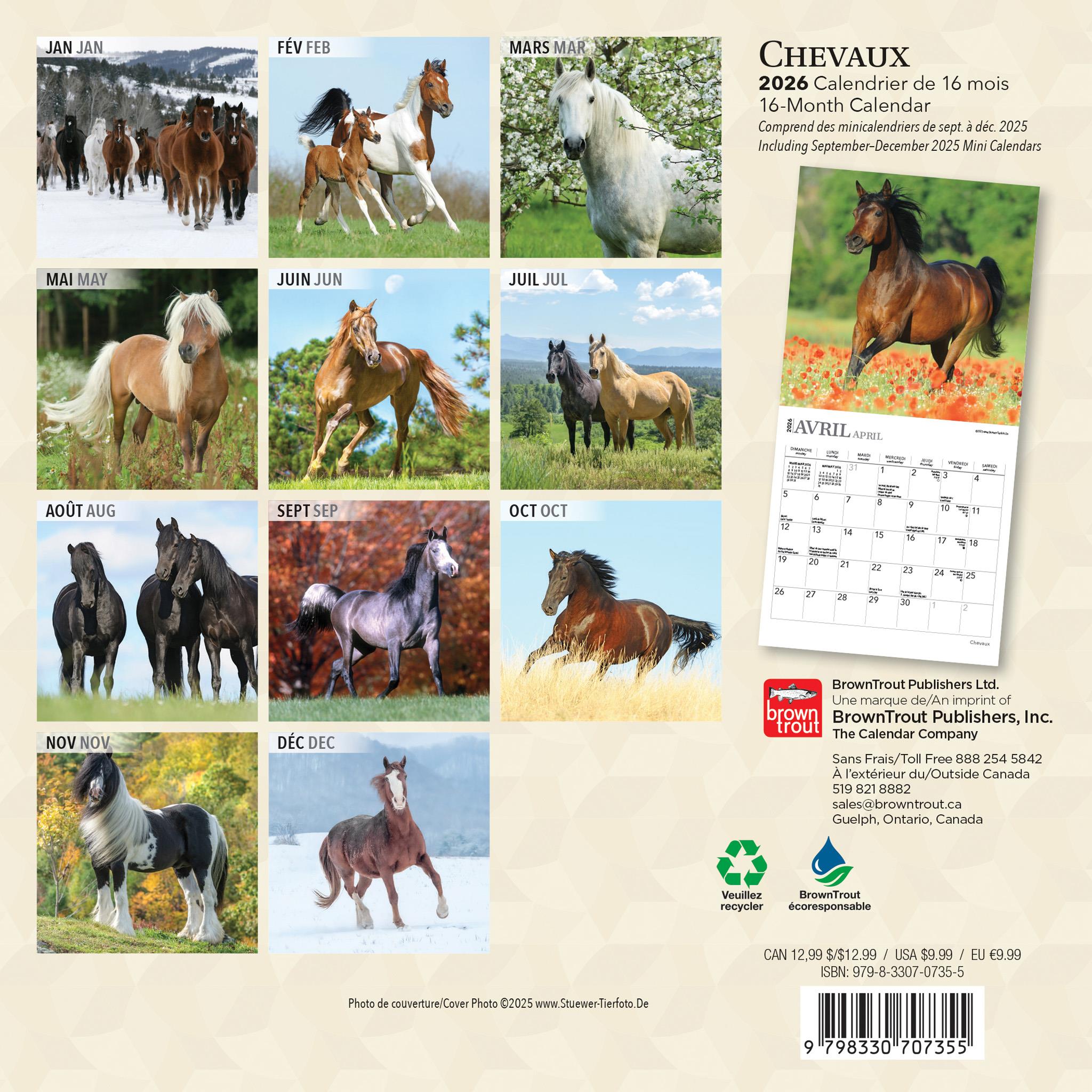 Chevaux 2026 Mini Calendar (French)