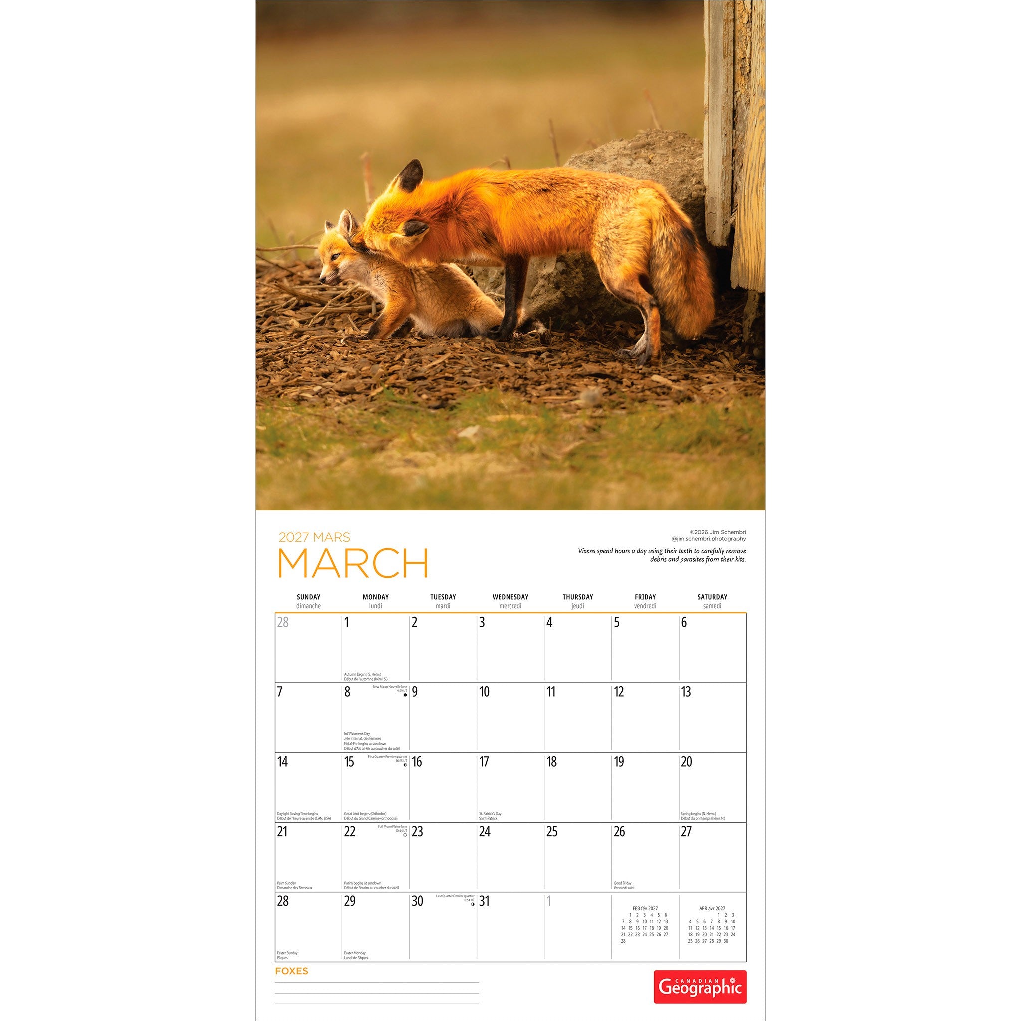 Canadian Geographic Foxes 2027 Wall Calendar - Online Only