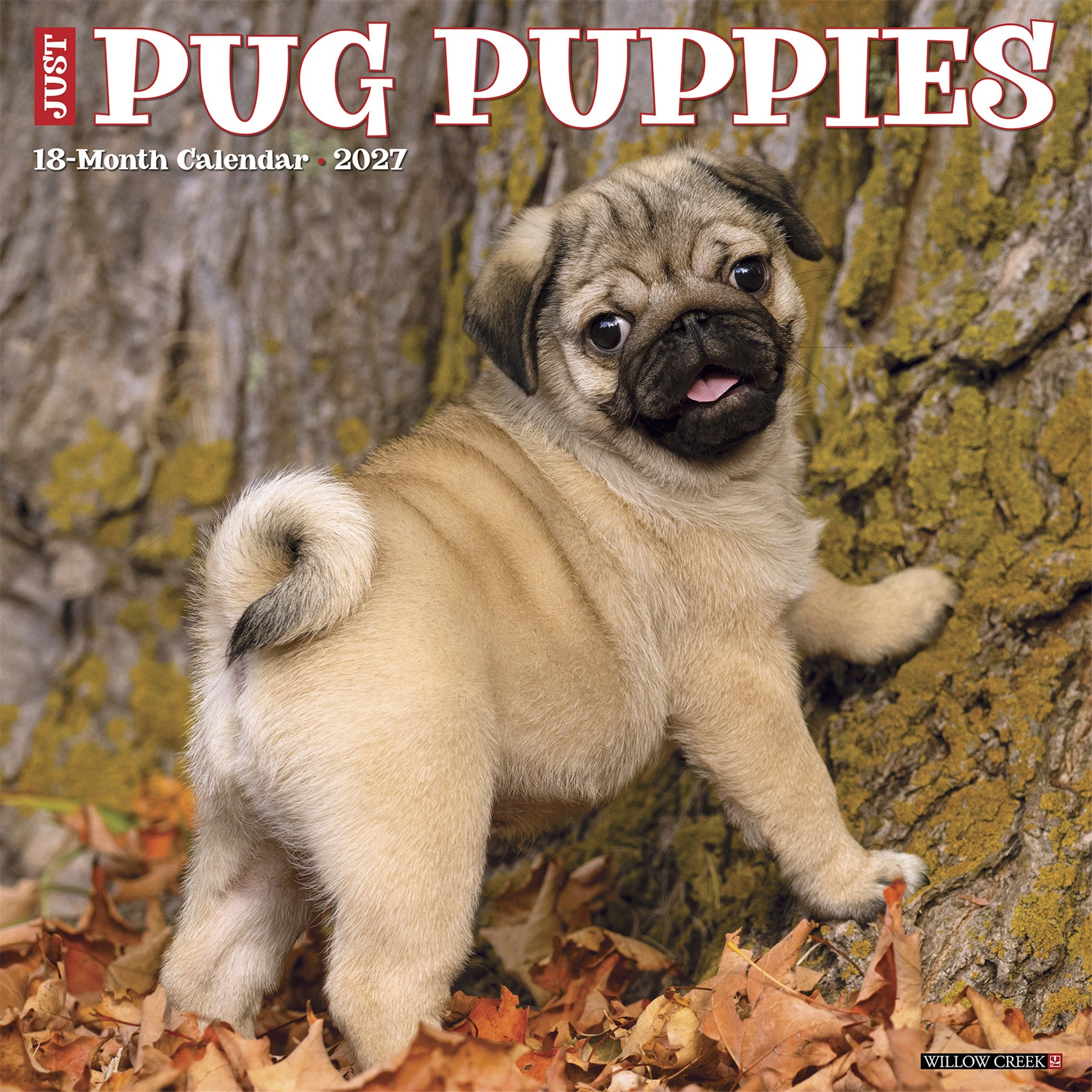 Pug Puppies 2027 Wall Calendar