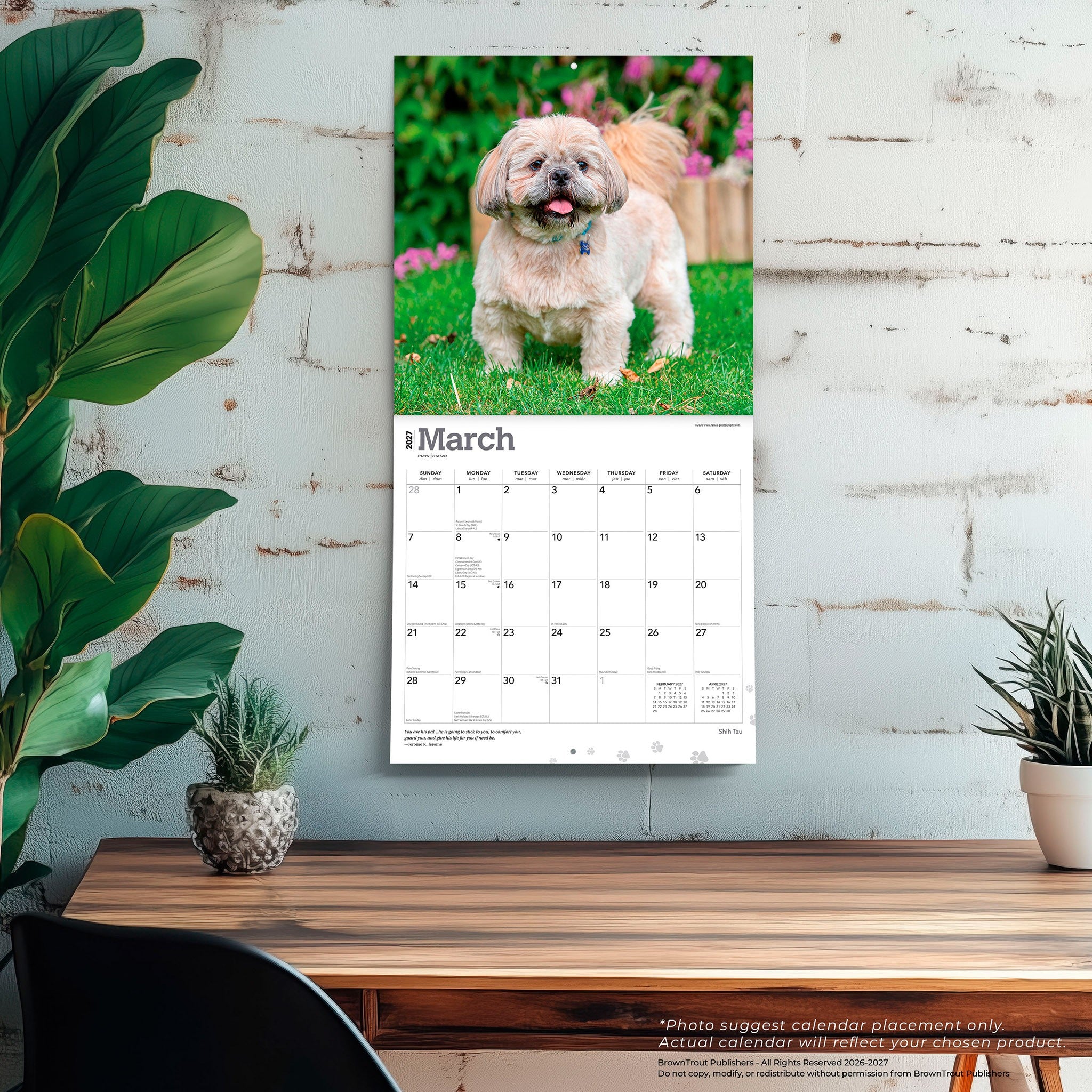 Shih Tzu 2027 Wall Calendar