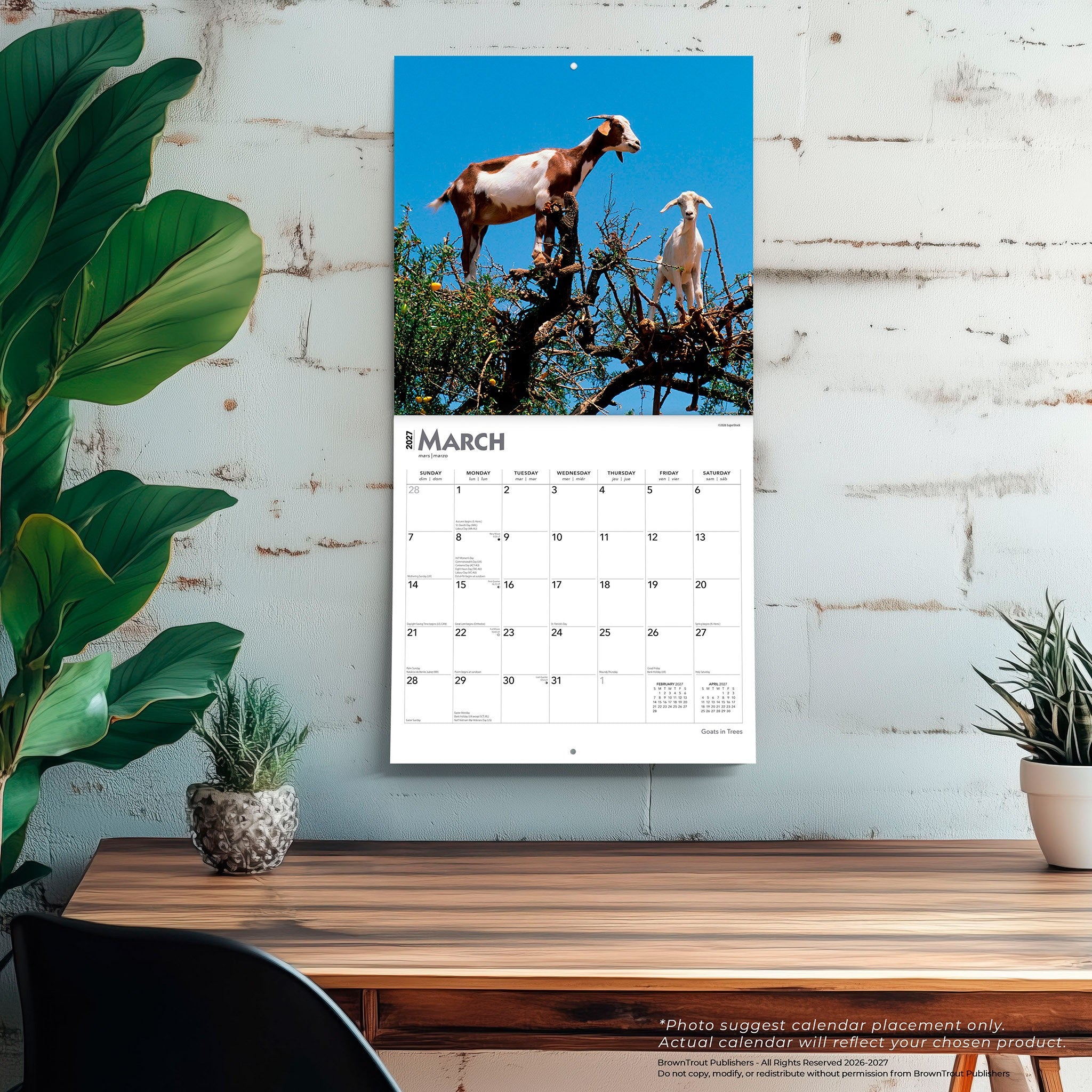 Goats in Trees 2027 Wall Calendar
