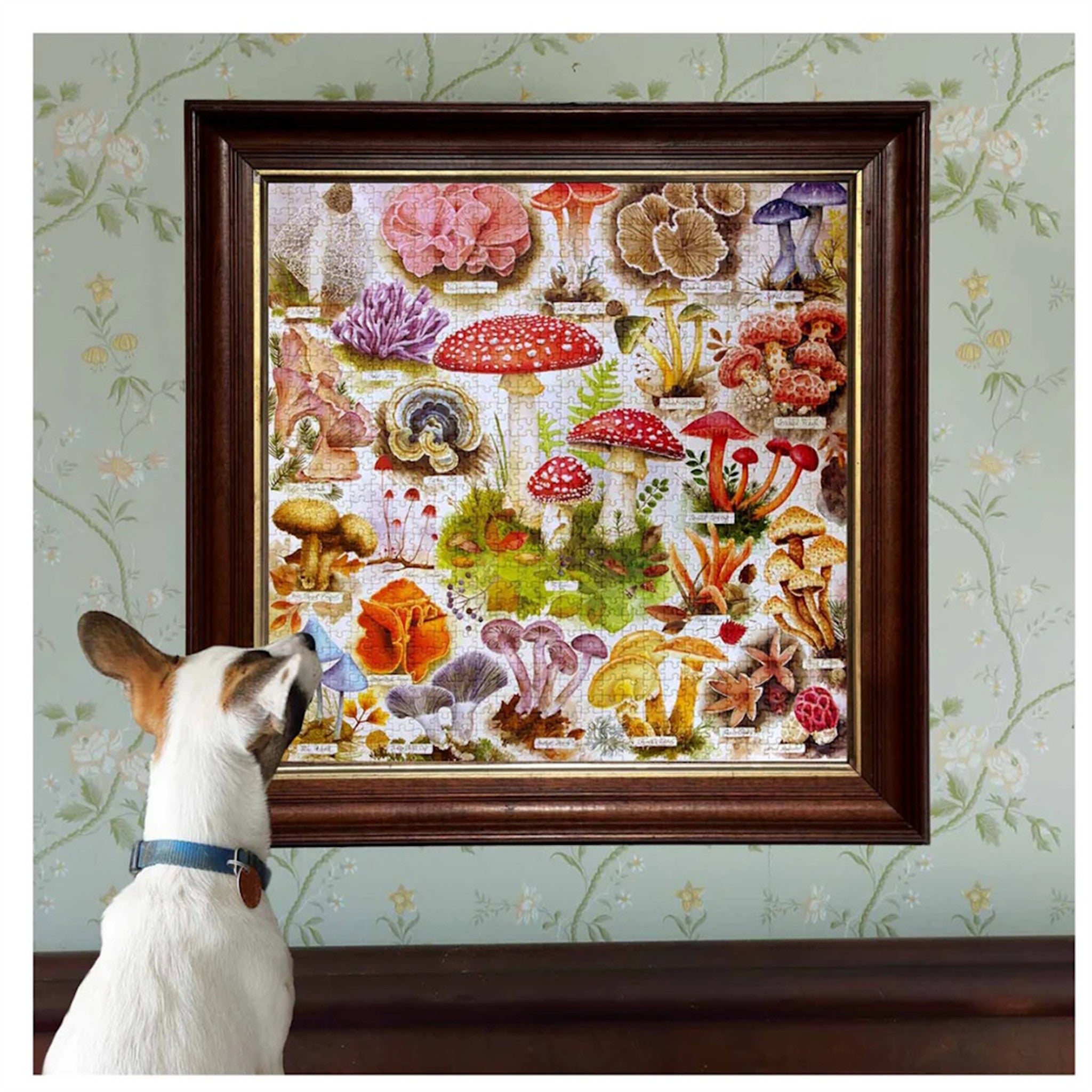 Bountiful Mushrooms 1000 Piece Puzzle