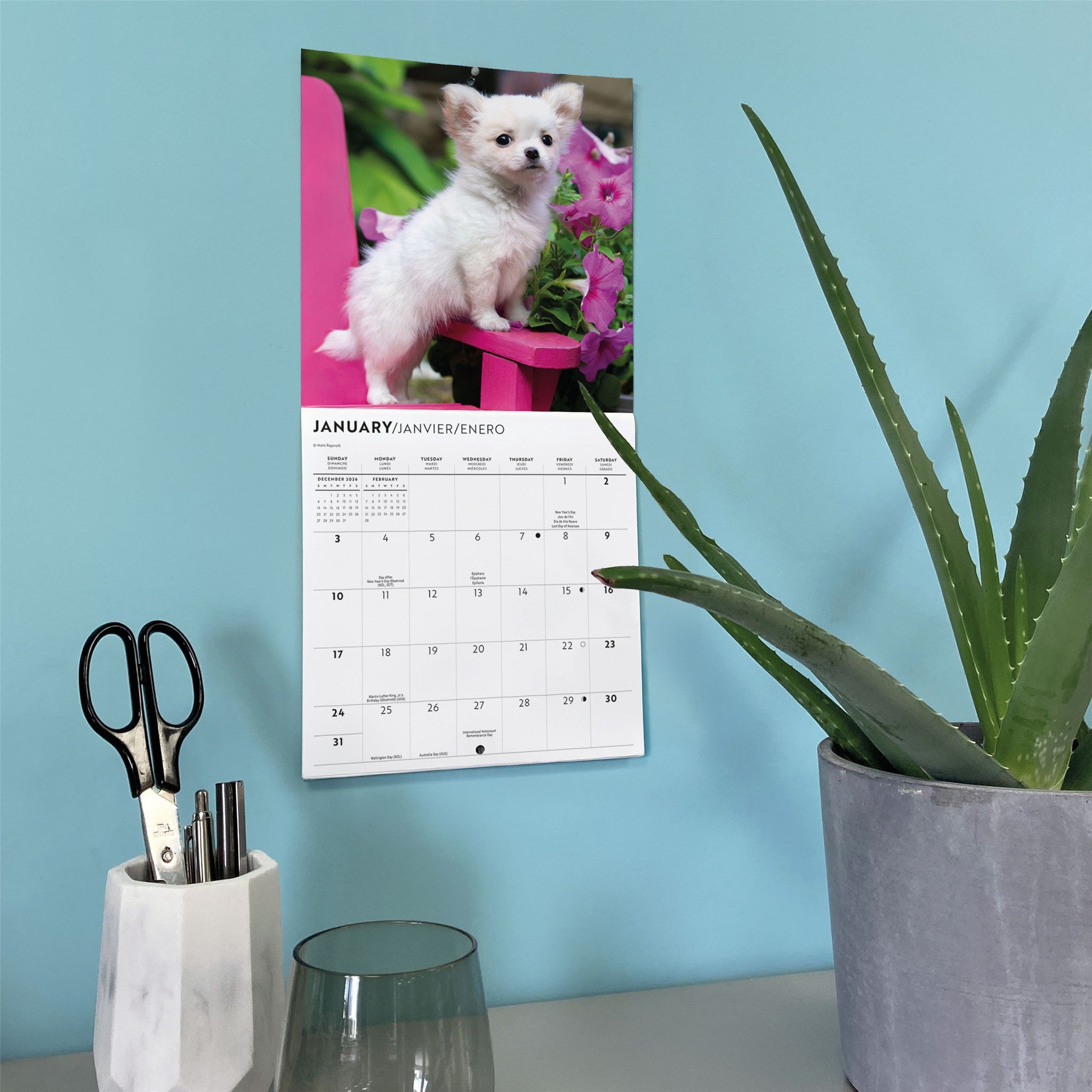 Chihuahua Puppies 2027 Mini Calendar